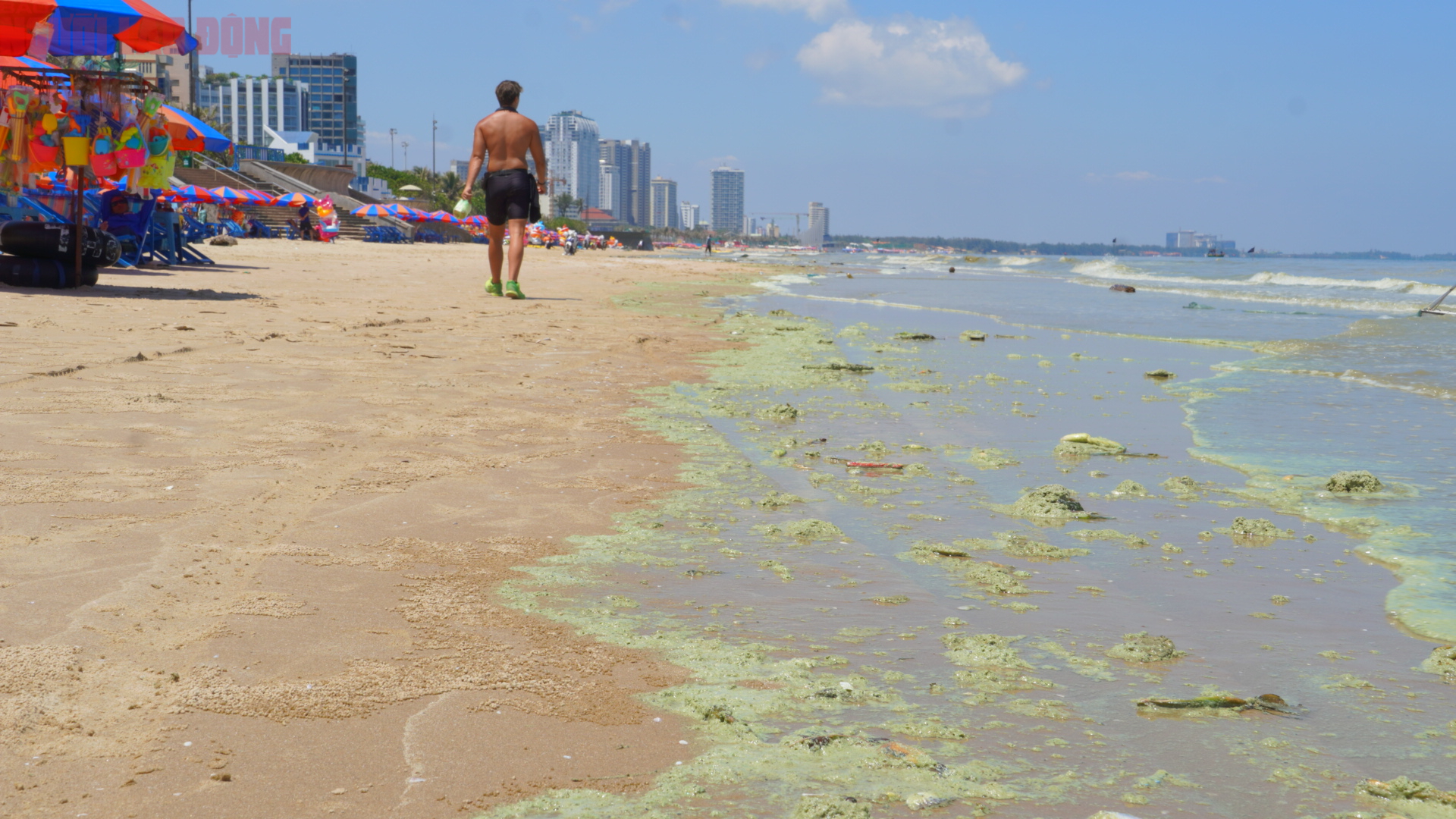 Biển B&atilde;i Sau Vũng T&agrave;u chuyển m&agrave;u xanh như matcha , du kh&aacute;ch lo ngại điều g&igrave;? - Ảnh 9.