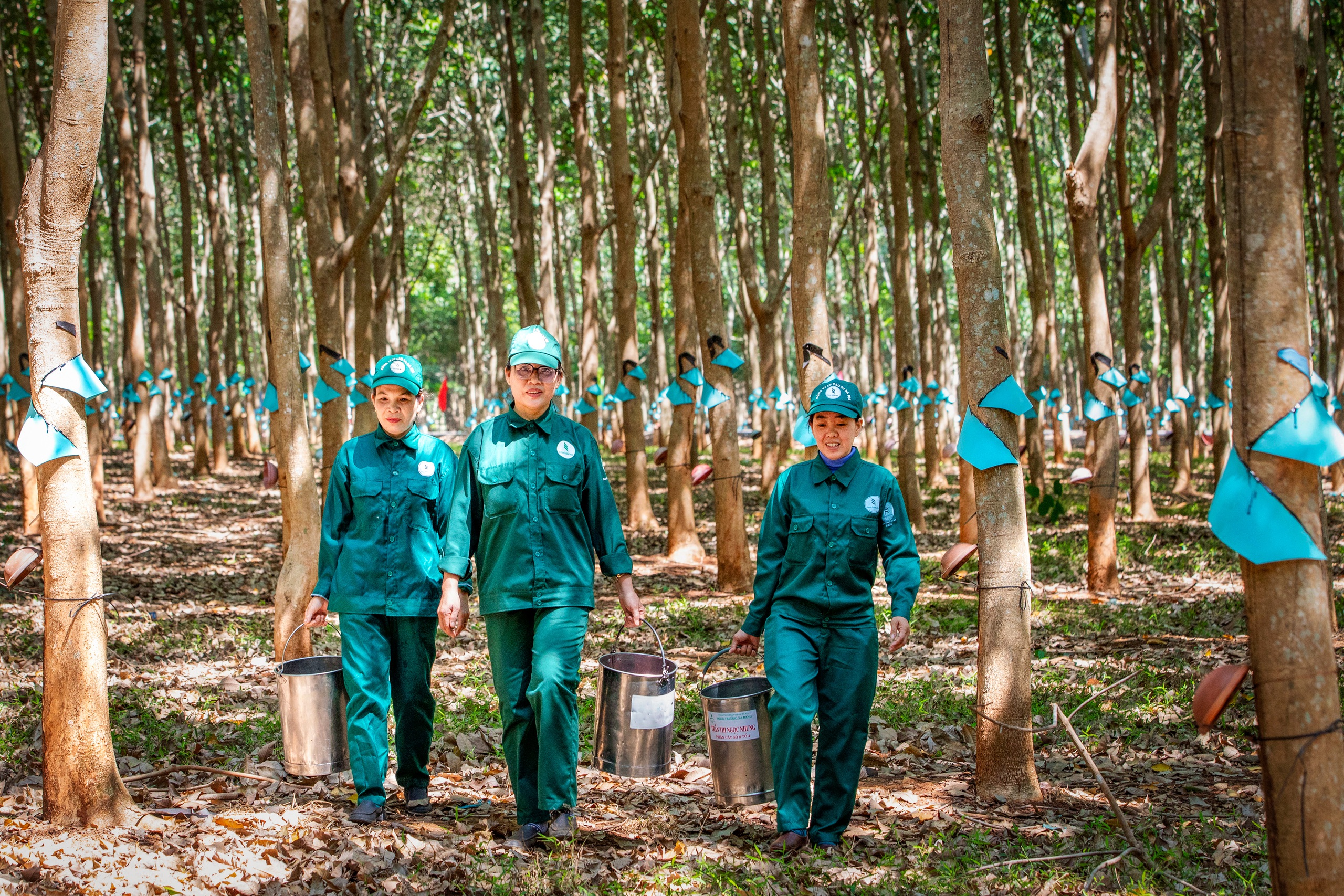 VRG quyết liệt thực hiện Nghị quyết 79 về phát triển kinh tế Nhà nước năm 2026 - Ảnh 5.