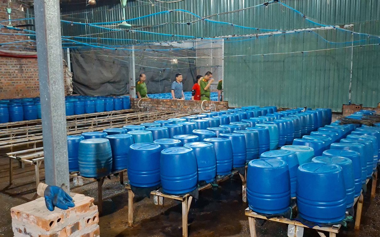 Cận cảnh bên trong cơ sở sản xuất hơn 500 tấn giá đỗ có sử dụng chất độc hại - Ảnh 2.