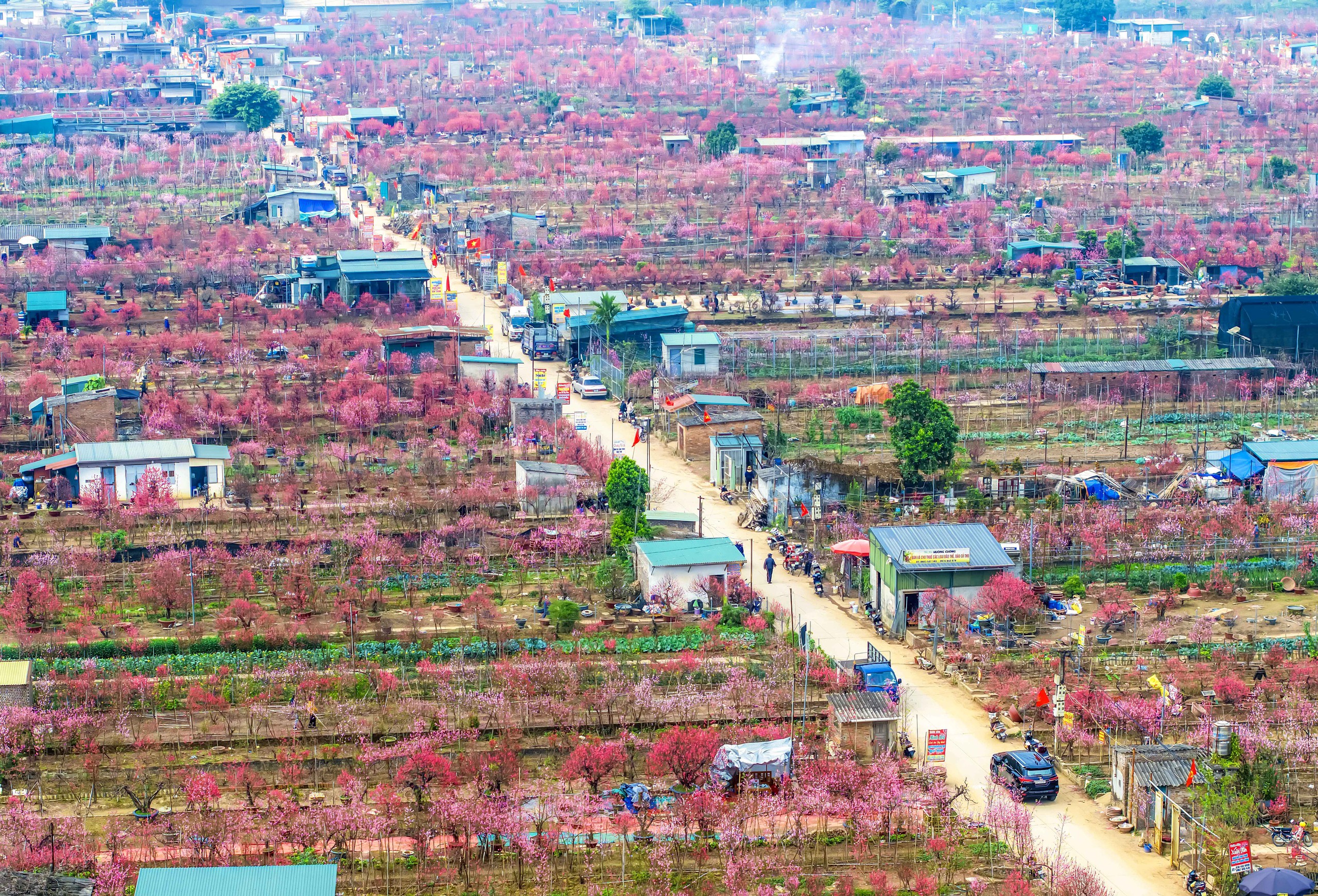 Ảnh đẹp trong tuần: Sắc m&agrave;u cuộc sống - Ảnh 2.
