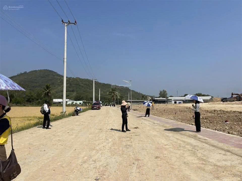 Vụ “cạo sạch cả quả đồi”: Xác minh có hay không bao che, tiếp tay - Ảnh 3.