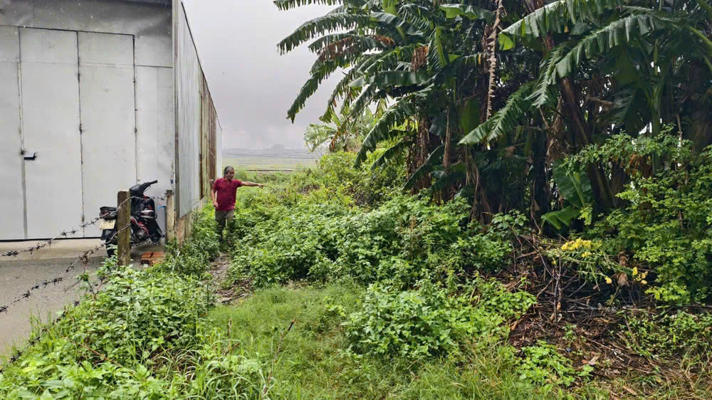 Yêu cầu xã giải quyết vụ lô đất trúng đấu giá 18 năm không có trên thực địa - Ảnh 1.