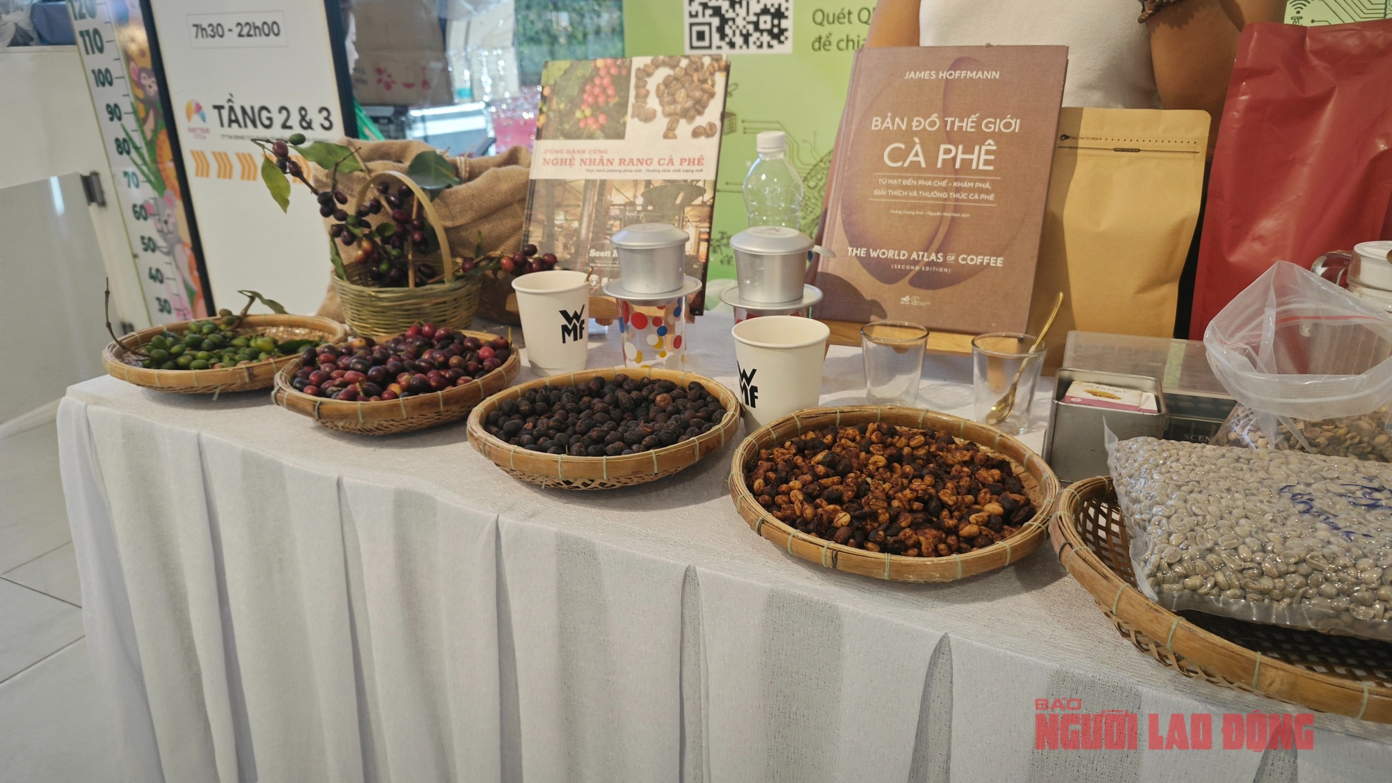 Giá cà phê hôm nay 5 - 4 và kịch bản giảm giá trong năm 2026 - Ảnh 3.