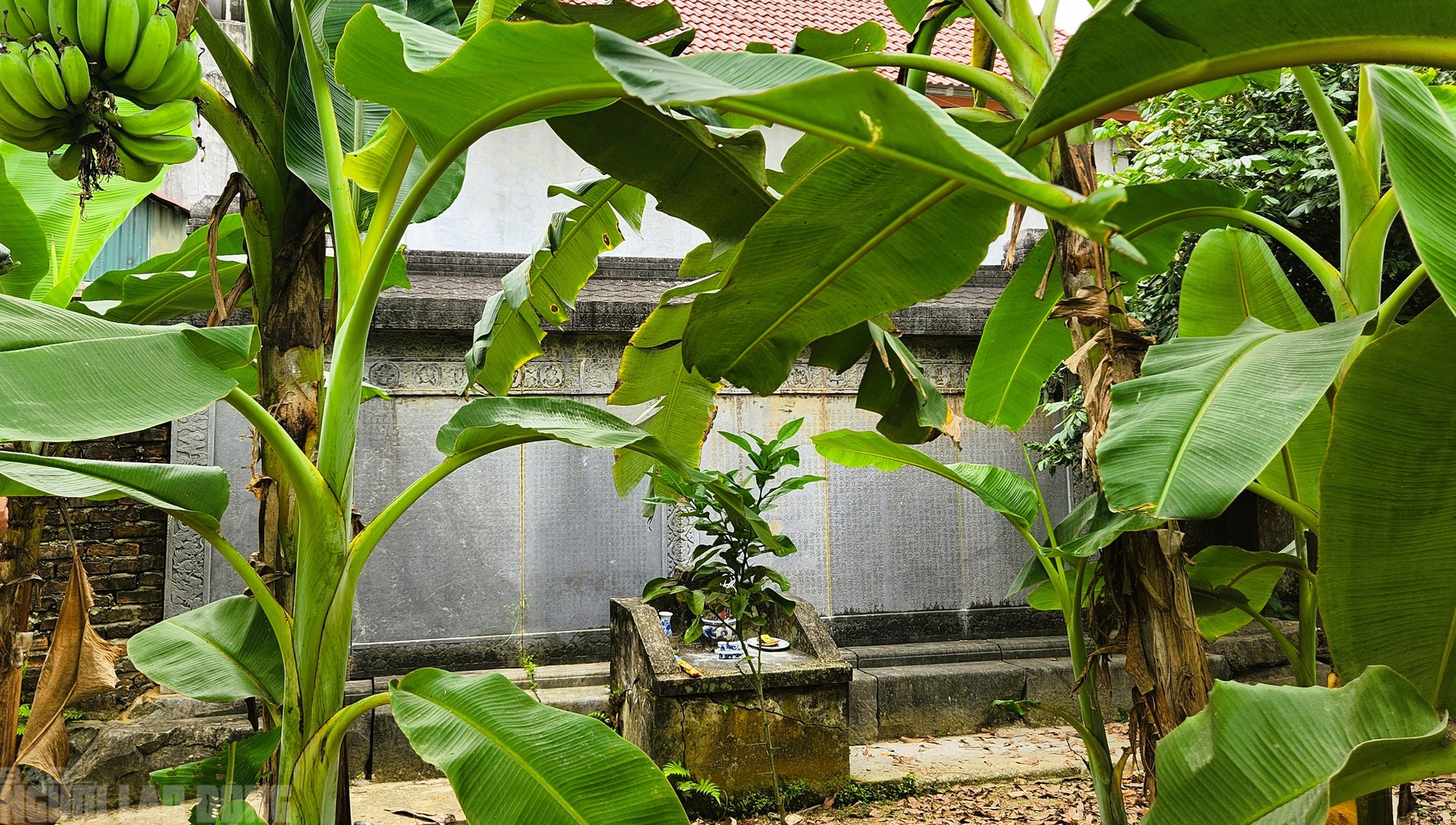 Bia cổ hơn 300 năm ở Thanh Hóa thành tường rào nhà dân - Ảnh 6.