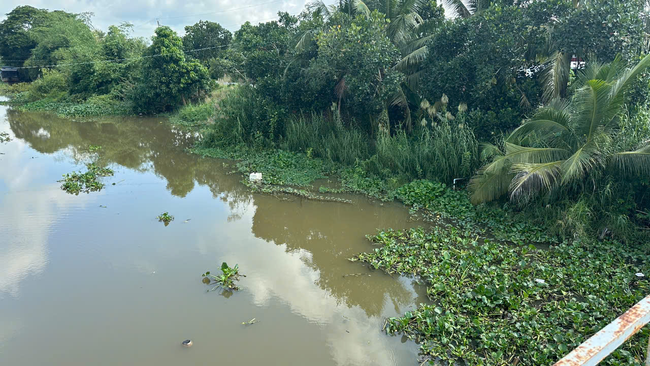 Cá sấu xuất hiện ở Tây Ninh: Người dân cần cảnh giác trong năm 2026 - Ảnh 1. Cá sấu xuất hiện ở Tây Ninh: Người dân cần cảnh giác trong năm 2026 - Ảnh 1.