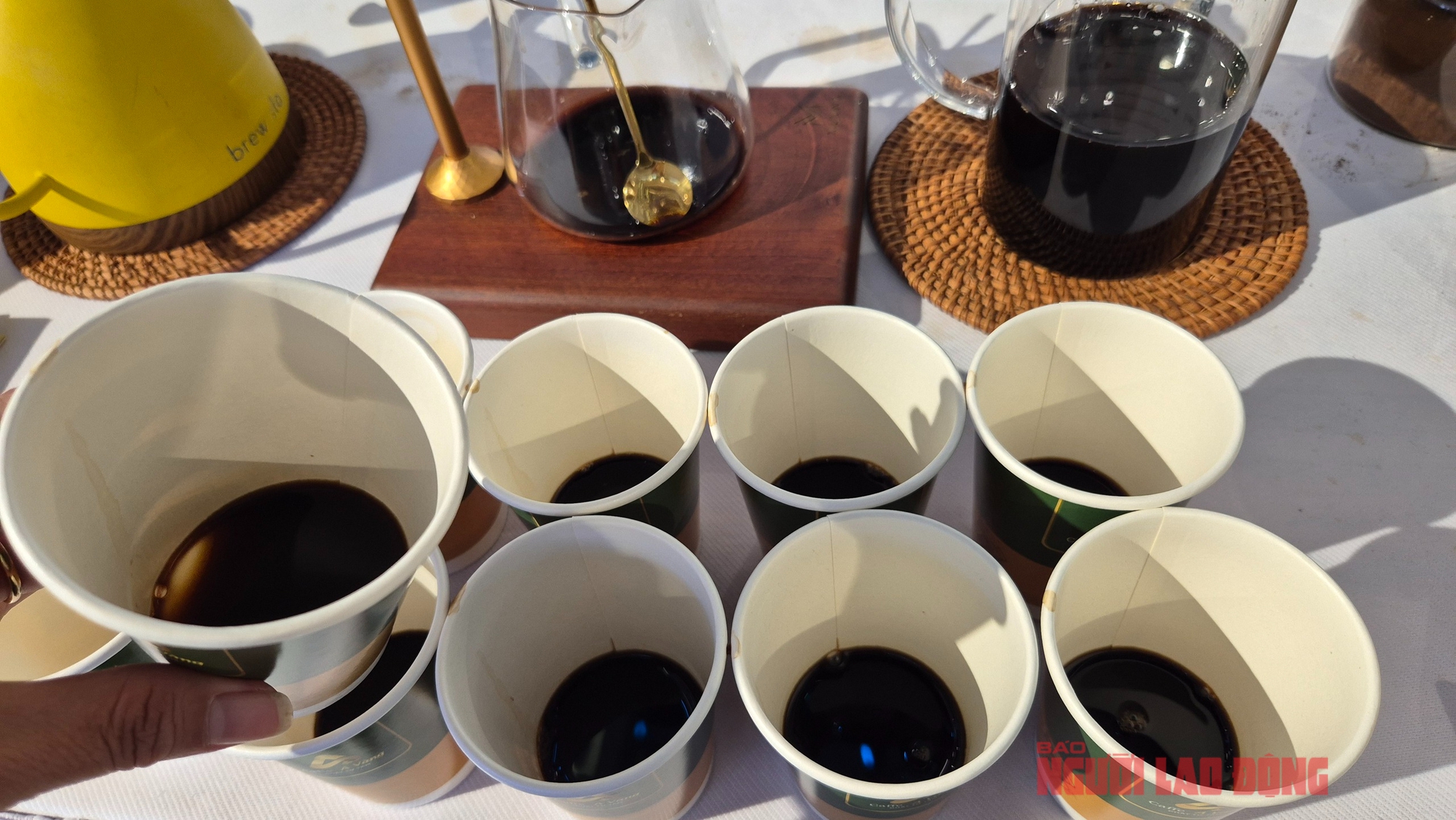 Giá cà phê hôm nay 6 - 4: Xu hướng và dự báo giá cà phê toàn cầu 2026 - Ảnh 3.