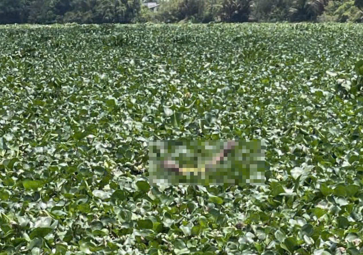 Phát hiện thi thể 2 trẻ nhỏ đuối nước trên sông Vàm Cỏ Tây tại Tây Ninh - Ảnh 1.