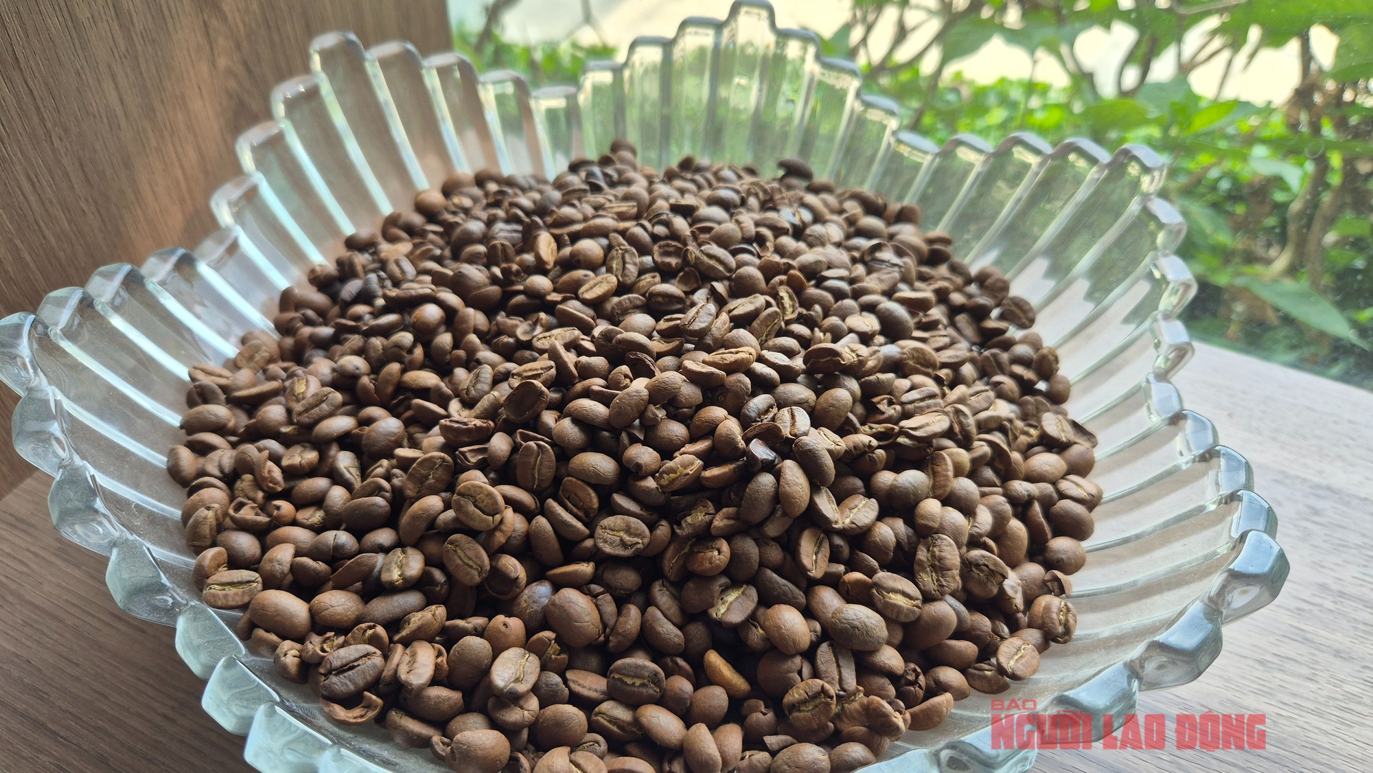 Giá cà phê hôm nay 8-4: Cả hai sàn đỏ lửa, Robusta xuống đáy 8 tháng - Ảnh 1.