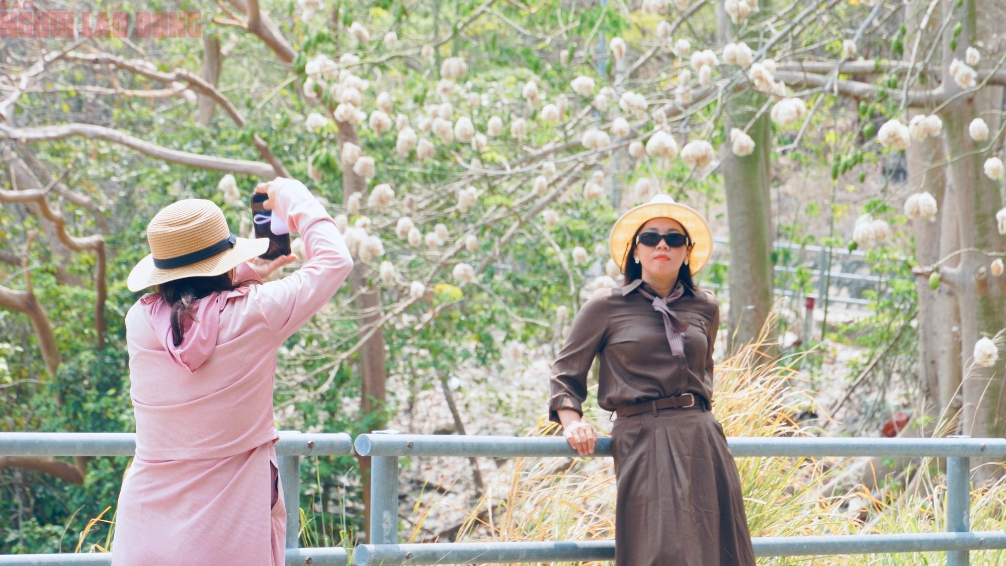 Bông gòn nở rộ "gây sốt", hút khách ở Vũng Tàu - Ảnh 3.