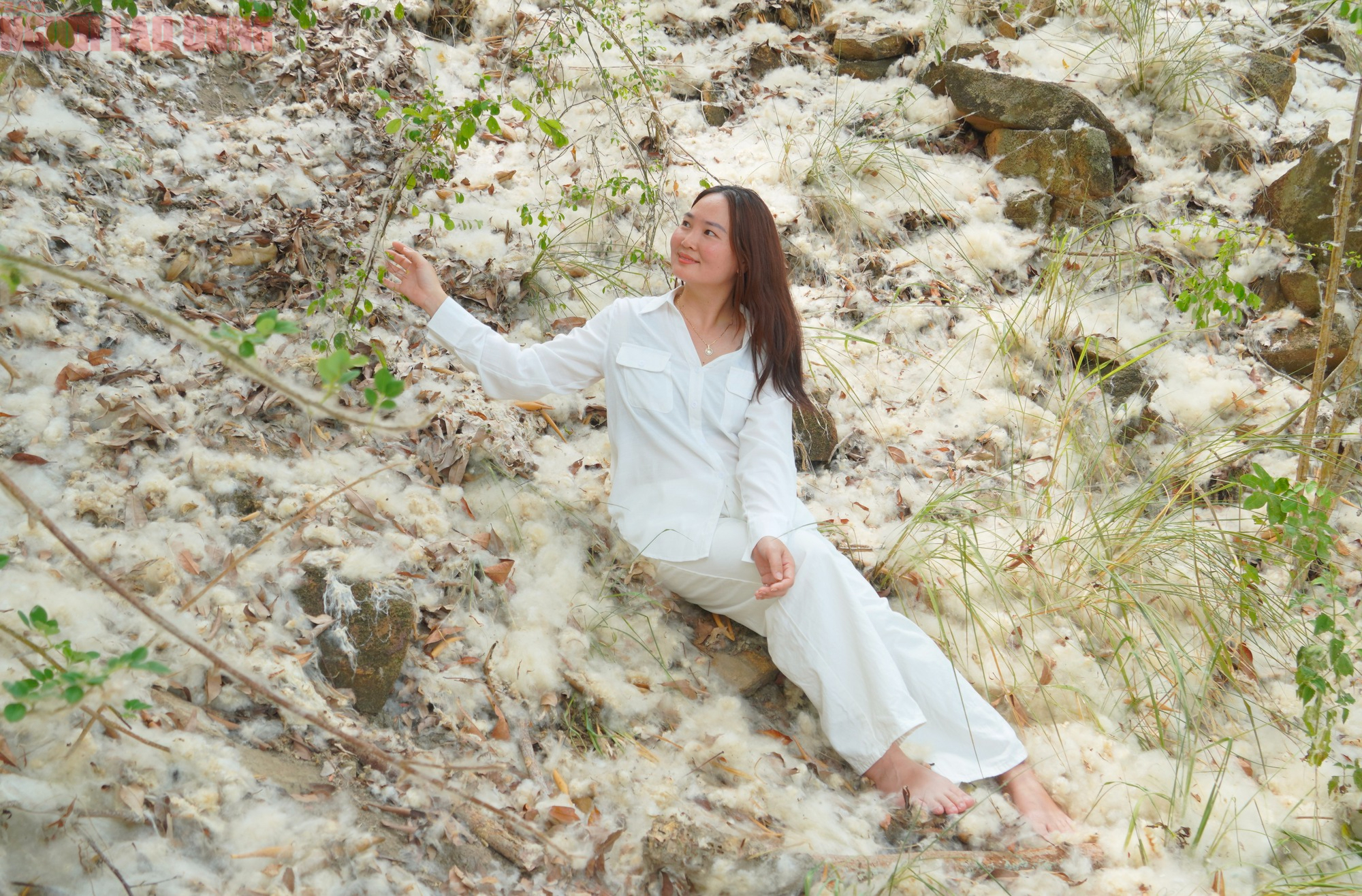 Bông gòn nở rộ "gây sốt", hút khách ở Vũng Tàu - Ảnh 10.