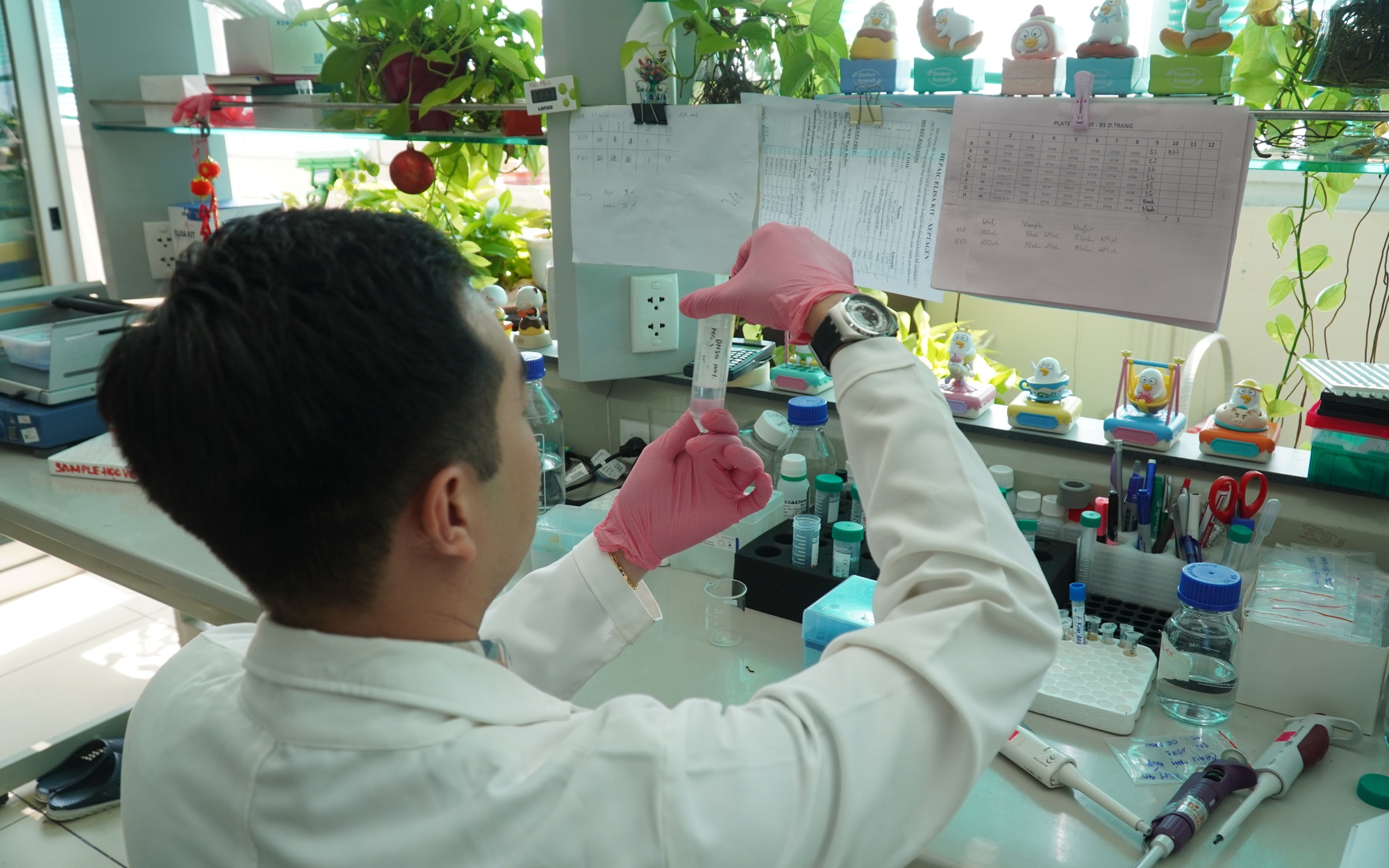 ĐH Y khoa Phạm Ngọc Thạch kh&ocirc;ng quy đổi chứng chỉ ngoại ngữ - Ảnh 2.