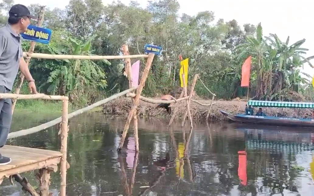 Thử thách đi cầu khỉ tại sự kiện 