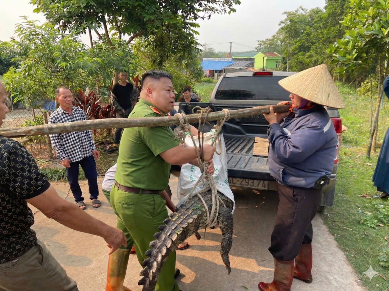 Bắt giữ cá sấu nước ngọt nguy hiểm tại Đường Hoa , 2026 - Ảnh 1.