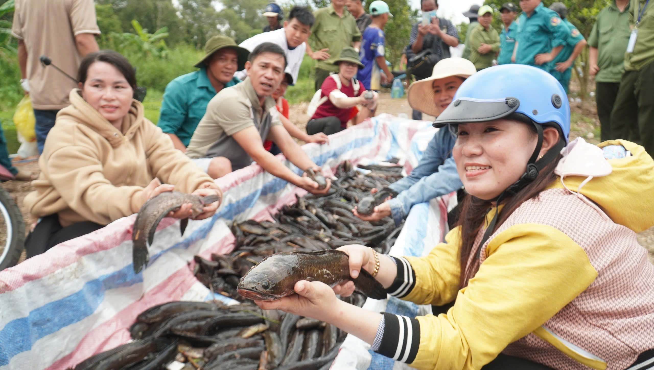 Thử thách đi cầu khỉ tại sự kiện 