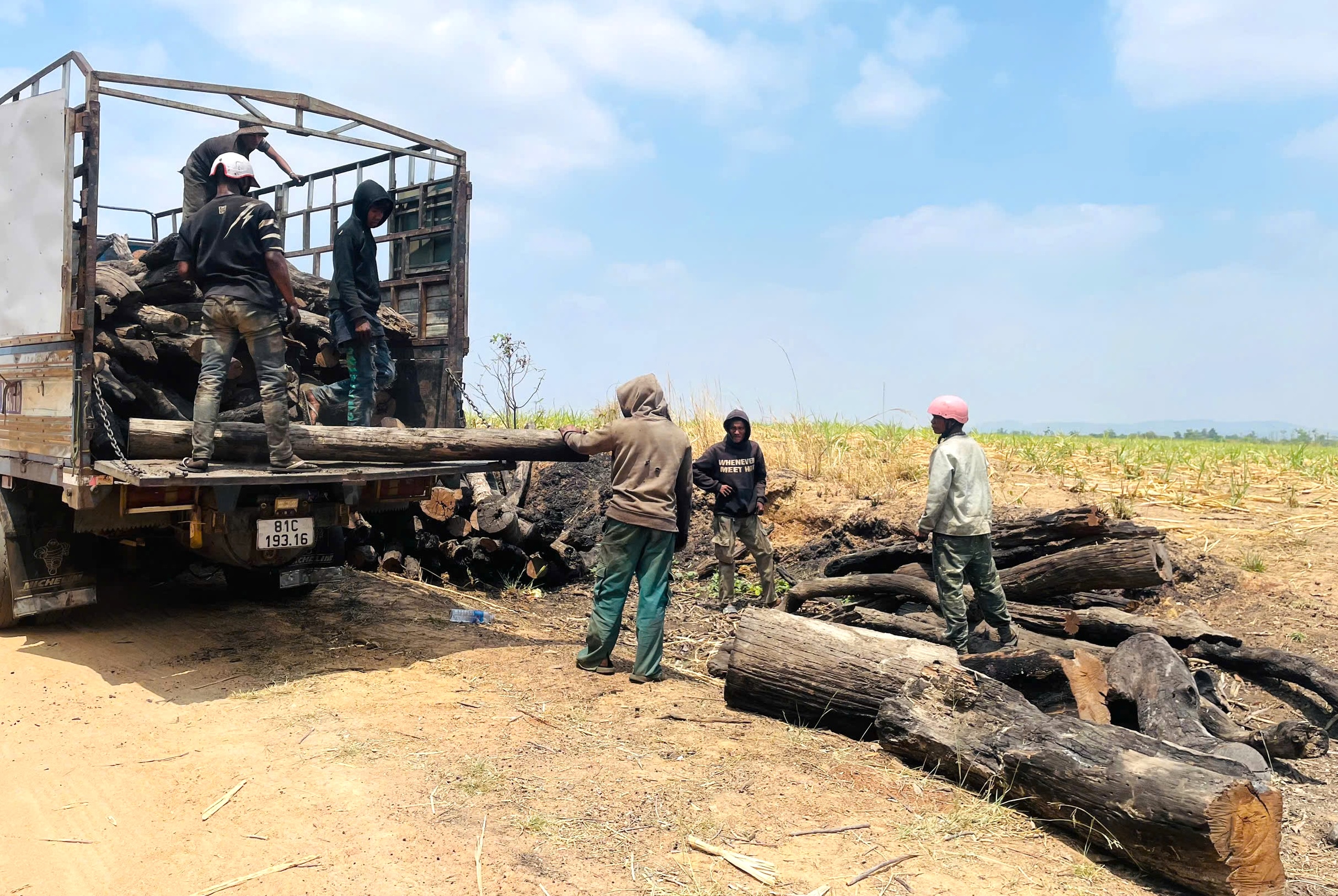 Nóng tình trạng phá rừng tại gia Lai cần được xử lý nghiêm trong năm 2026 - Ảnh 1.
