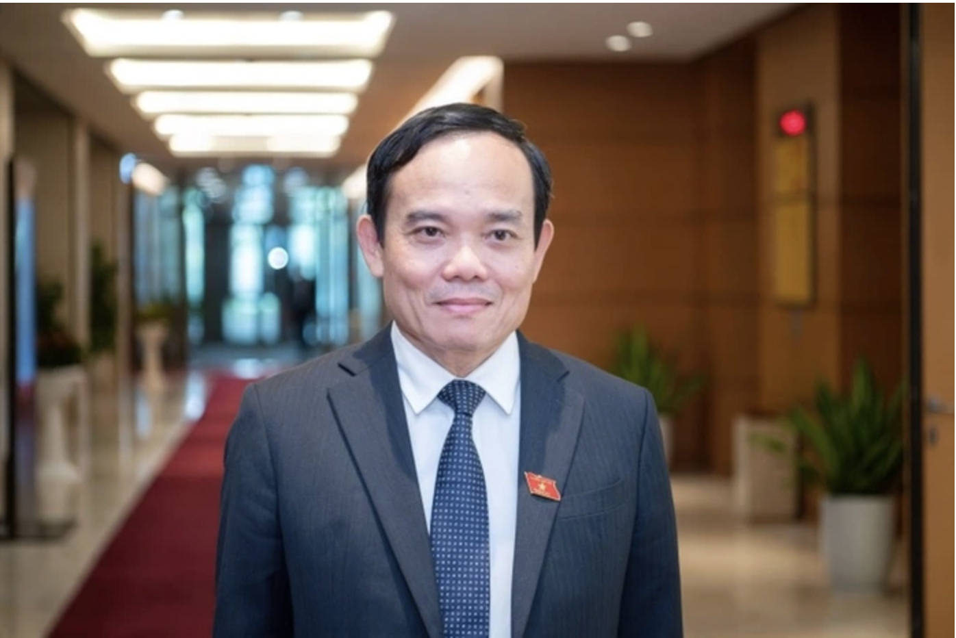 Trần Lưu Quang làm Trưởng Đoàn đại biểu Quốc hội TP HCM khóa XVI năm 2026 - Ảnh 1. Trần Lưu Quang làm Trưởng Đoàn đại biểu Quốc hội TP HCM khóa XVI năm 2026 - Ảnh 1.