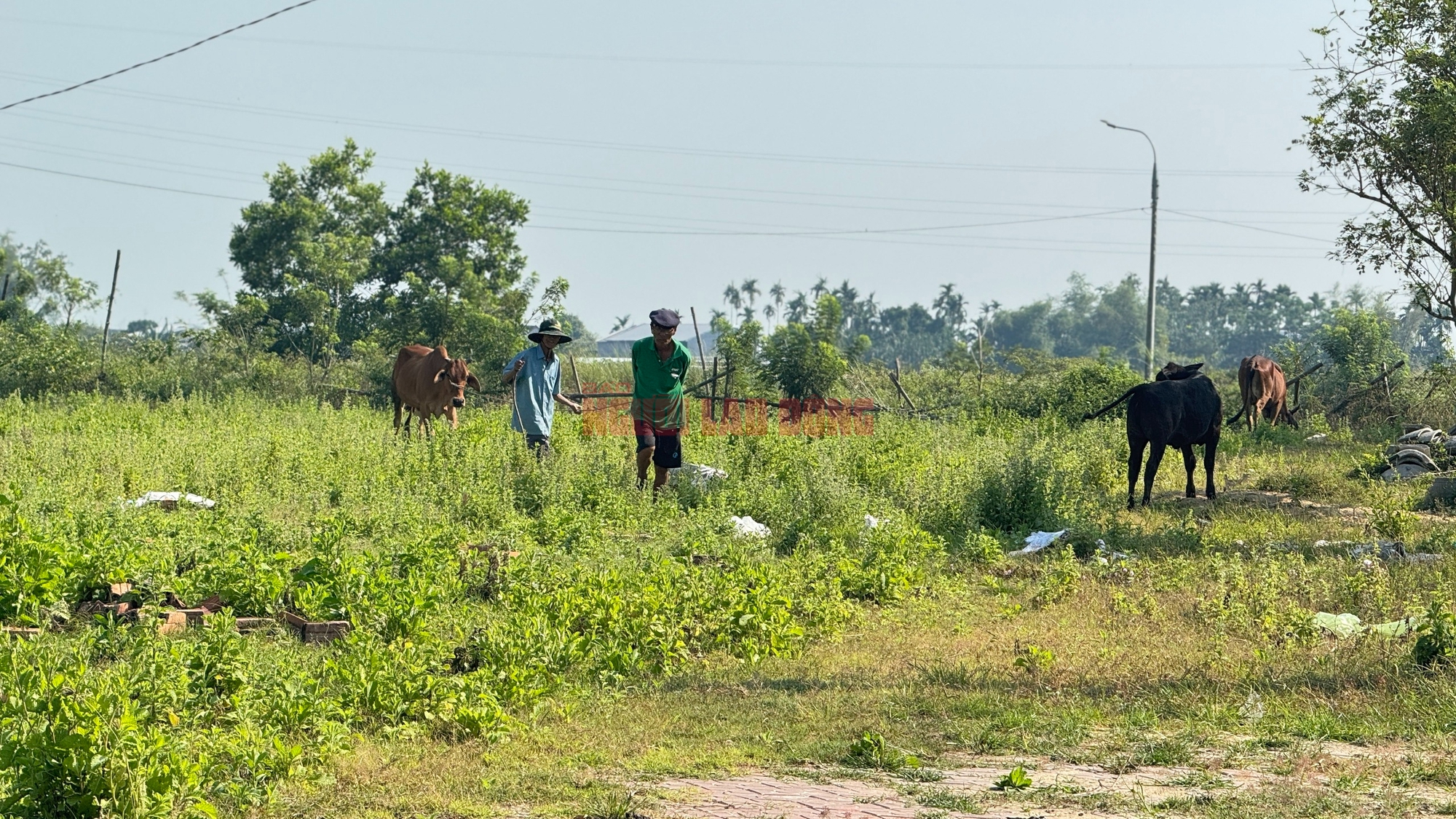 Dự &aacute;n khu d&acirc;n cư 186 tỉ "mắc cạn" b&ecirc;n s&ocirc;ng Vệ gần chục năm - Ảnh 2.