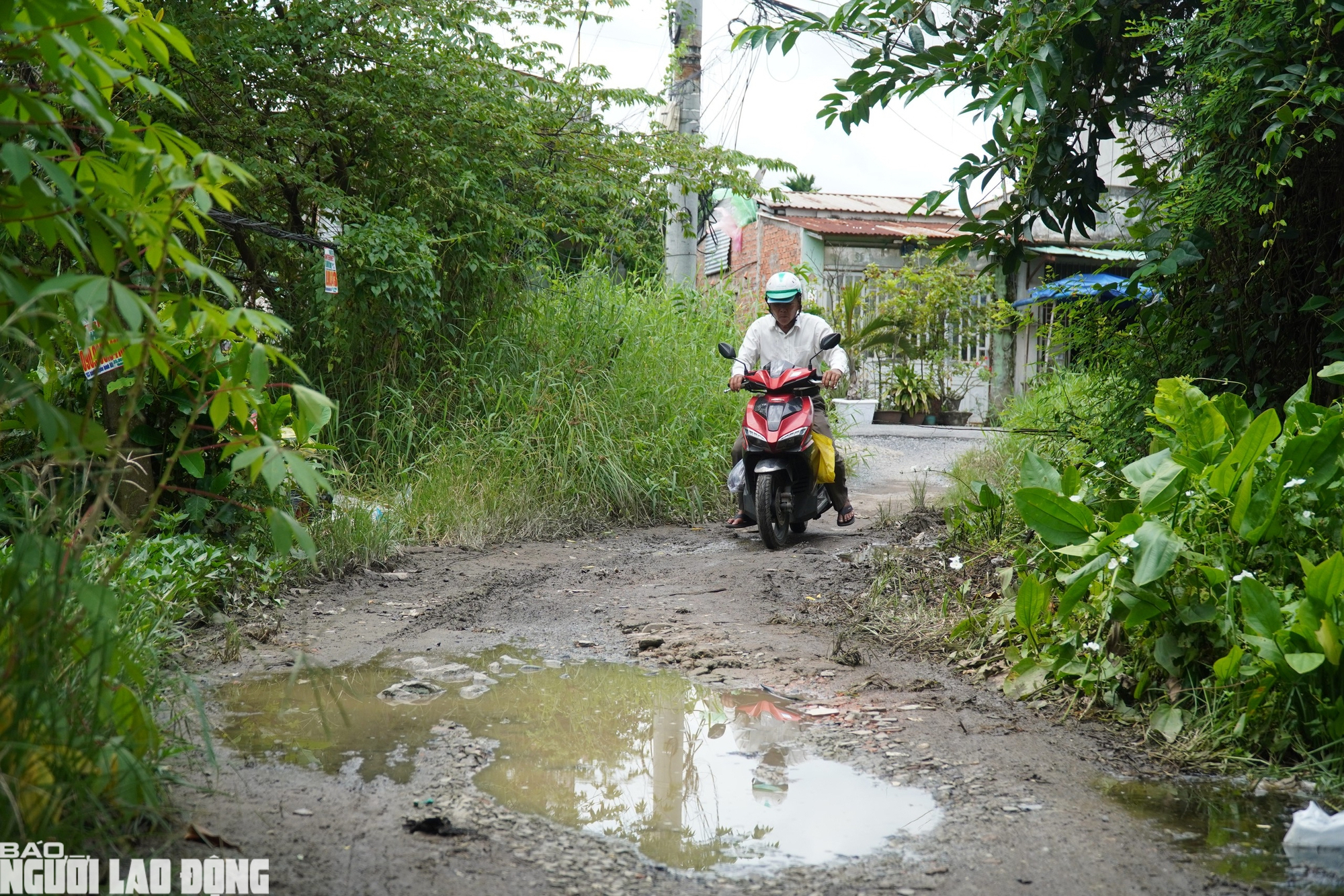 Đầu tư gần 19 . 400 Tỉ đồng cho đại lộ V&otilde; Văn Kiệt kết nối TP . HCM v&agrave; T&acirc;y Ninh - Ảnh 10.