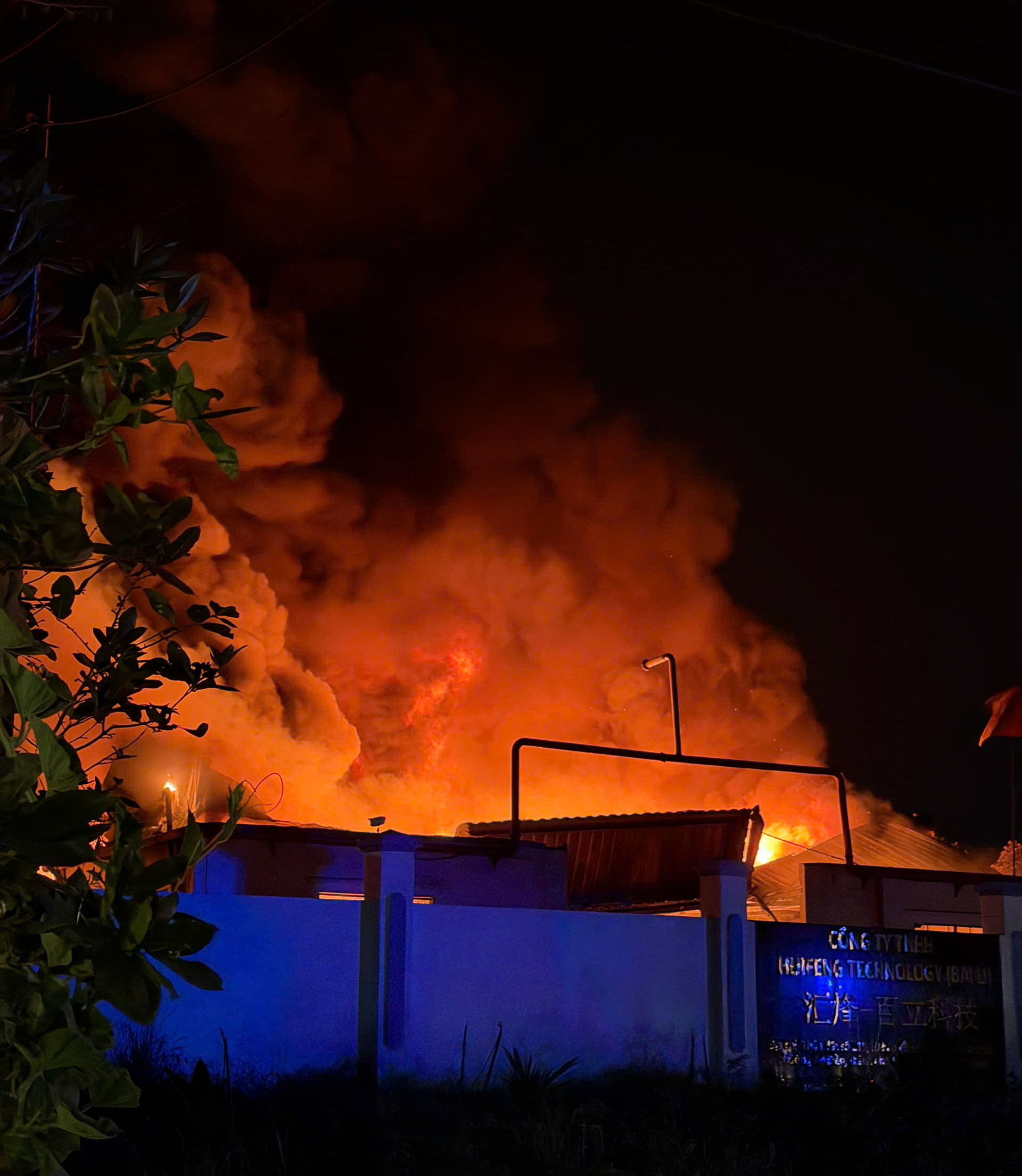 - Ảnh 1. - Ảnh 1.