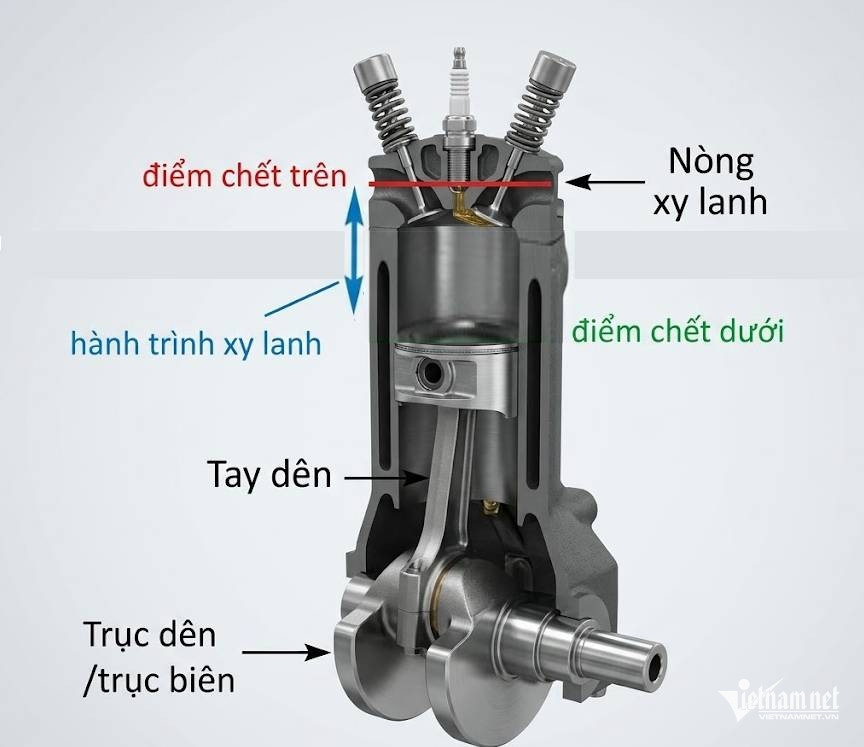  - Ảnh 2.