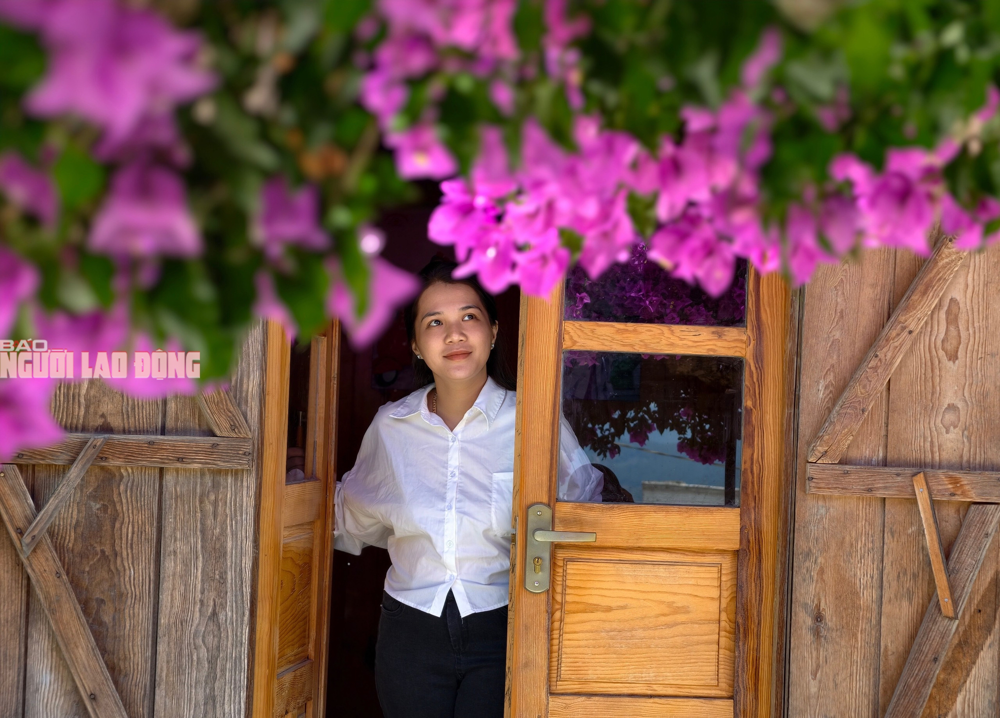 Ng&ocirc;i nh&agrave; c&oacute; c&acirc;y hoa giấy đẹp nhất đường đ&egrave;o Đ&agrave; Lạt, gia chủ đ&oacute;n kh&aacute;ch check-in miễn ph&iacute; - Ảnh 4.