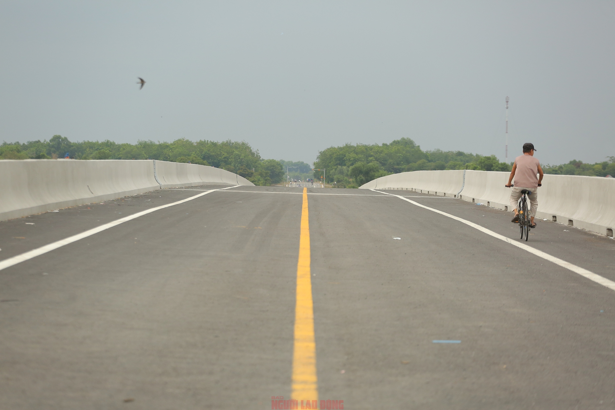 Cầu T&acirc;y Long v&agrave; tuyến đường Hồ Ch&iacute; Minh: Kết nối Long An - T&acirc;y Ninh 2026 - Ảnh 2.