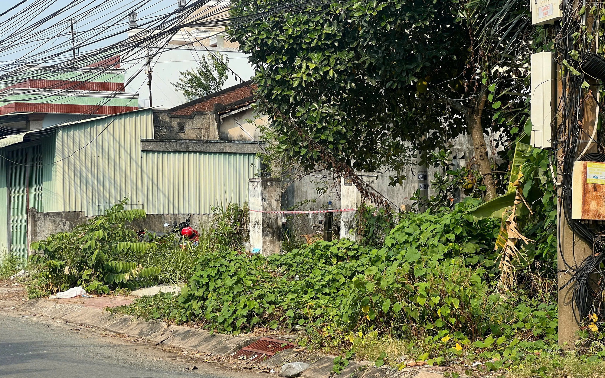 Nam thanh niên sàm sỡ phụ nữ trên đường tại Tây Ninh bị phạt 7 triệu đồng - Ảnh 2.