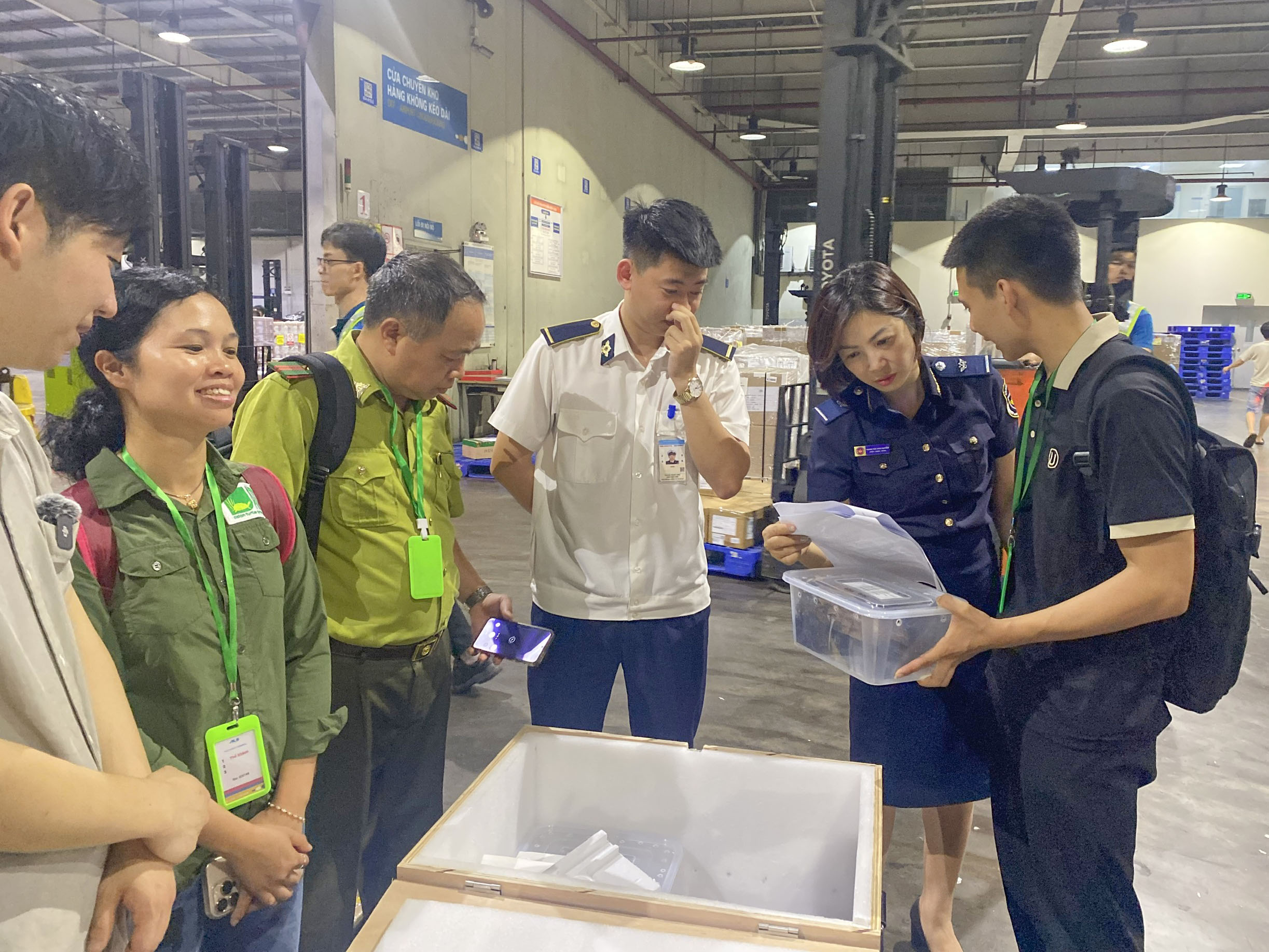 Tiếp nhận 28 cá thể rùa quý hiếm hồi hương từ Hàn Quốc - Ảnh 1.