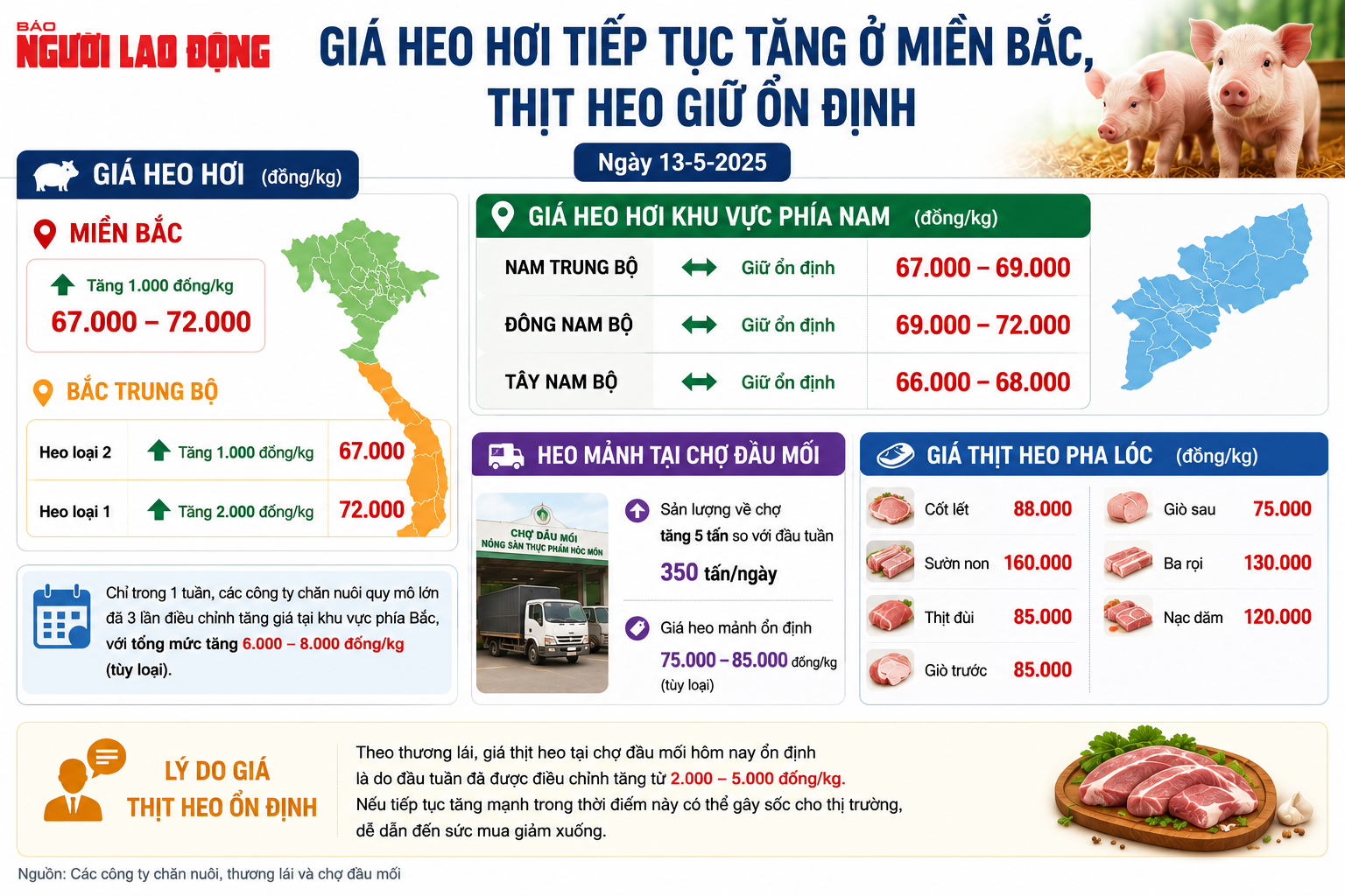 Giá heo hơi hôm nay, 13-5: Miền Bắc tăng tới 8.000 đồng/kg sau một tuần - Ảnh 1.