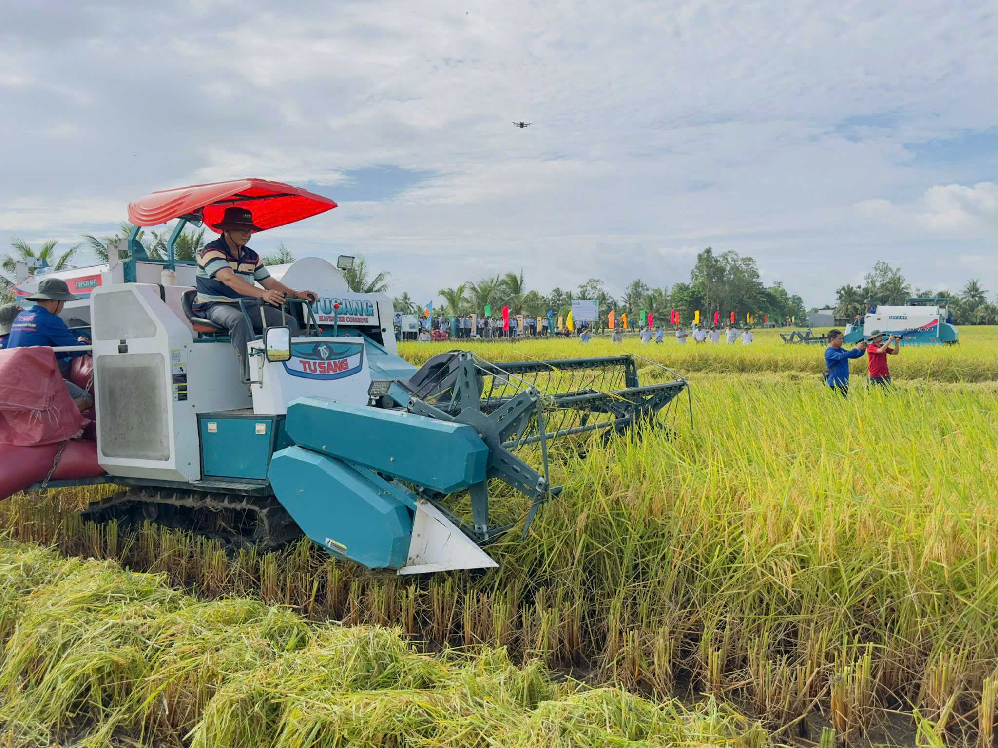 Gạo phát thải thấp tạo lợi thế cạnh tranh mới - Ảnh 1.