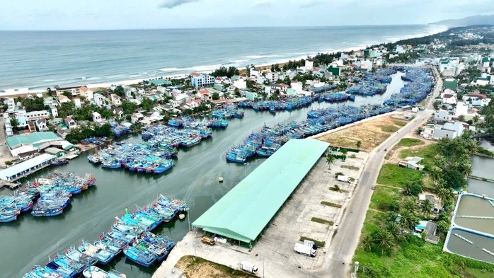 Gia Lai đề xuất xây dựng trung tâm đấu giá cá ngừ đại dương đầu tiên ở Đông Nam Á - Ảnh 1.