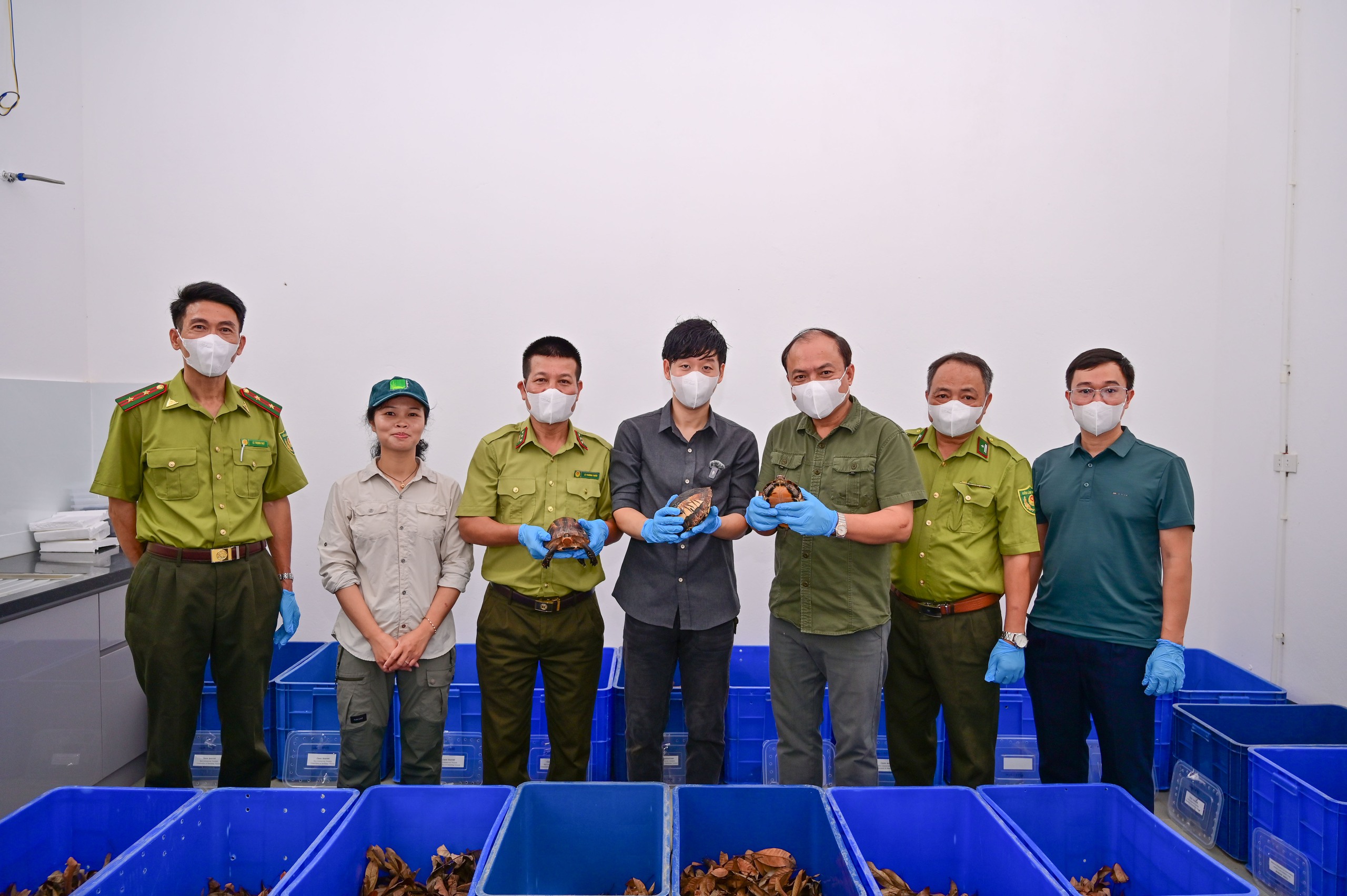Tiếp nhận 28 cá thể rùa quý hiếm hồi hương từ Hàn Quốc - Ảnh 2.