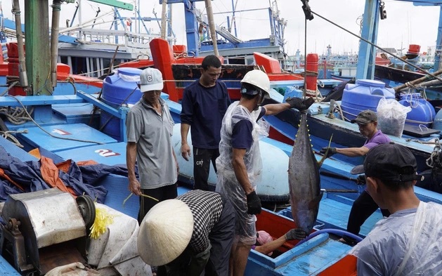 Quy hoạch &ldquo;si&ecirc;u&rdquo; đ&ocirc; thị du lịch gần 2.900 ha ven biển Quy Nhơn - Ảnh 2.