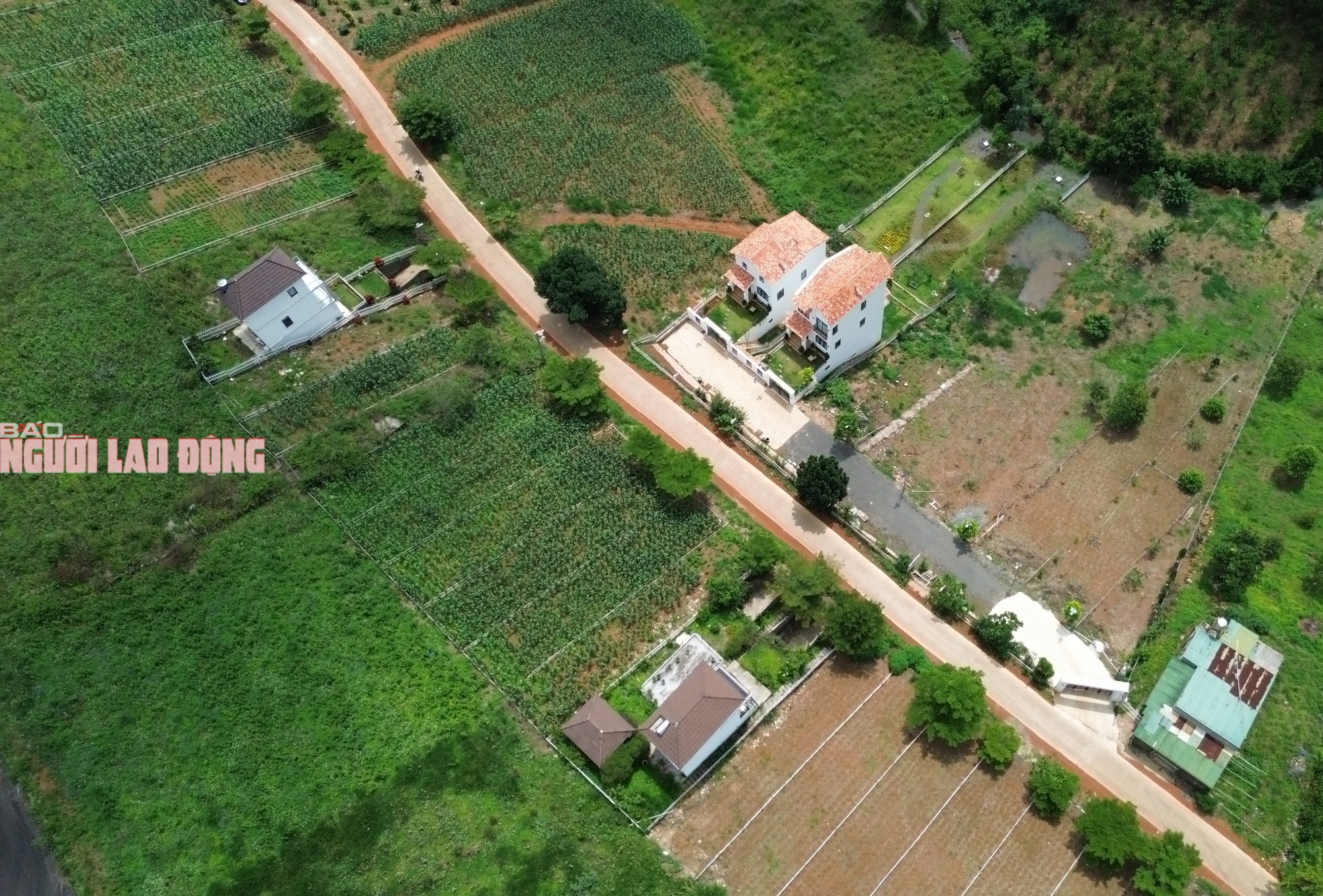 Hiện trạng khu đất được giới thiệu l&agrave; "dự &aacute;n" bất động sản Seville Villas Bla ở L&acirc;m Đồng - Ảnh 2.