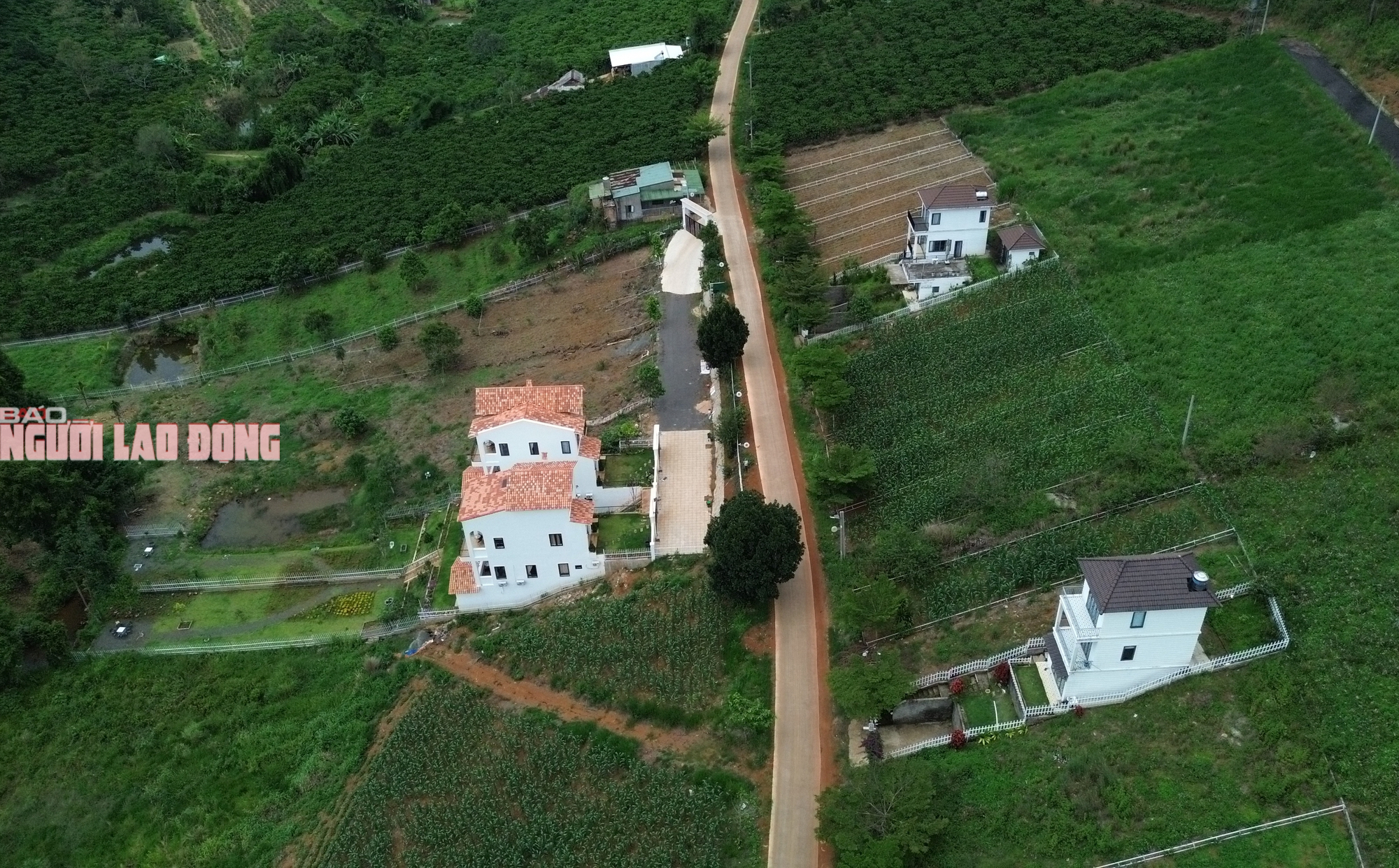 Hiện trạng khu đất được giới thiệu l&agrave; "dự &aacute;n" bất động sản Seville Villas Bla ở L&acirc;m Đồng - Ảnh 3.
