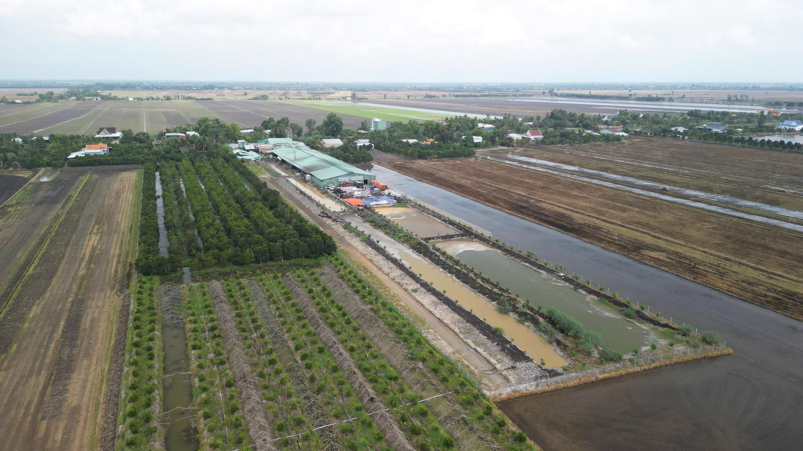 Tây Ninh xử phạt Công ty TNHH Nhà Phúc Hậu vi phạm môi trường hơn 170 triệu đồng - Ảnh 1. Tây Ninh xử phạt Công ty TNHH Nhà Phúc Hậu vi phạm môi trường hơn 170 triệu đồng - Ảnh 1.