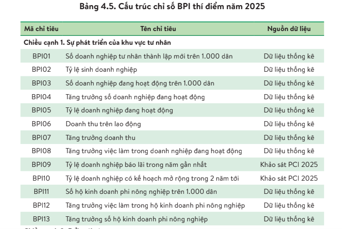 TPHCM dẫn đầu cả nước về Chỉ số Hiệu quả Kinh tế tư nhân  - Ảnh 1.