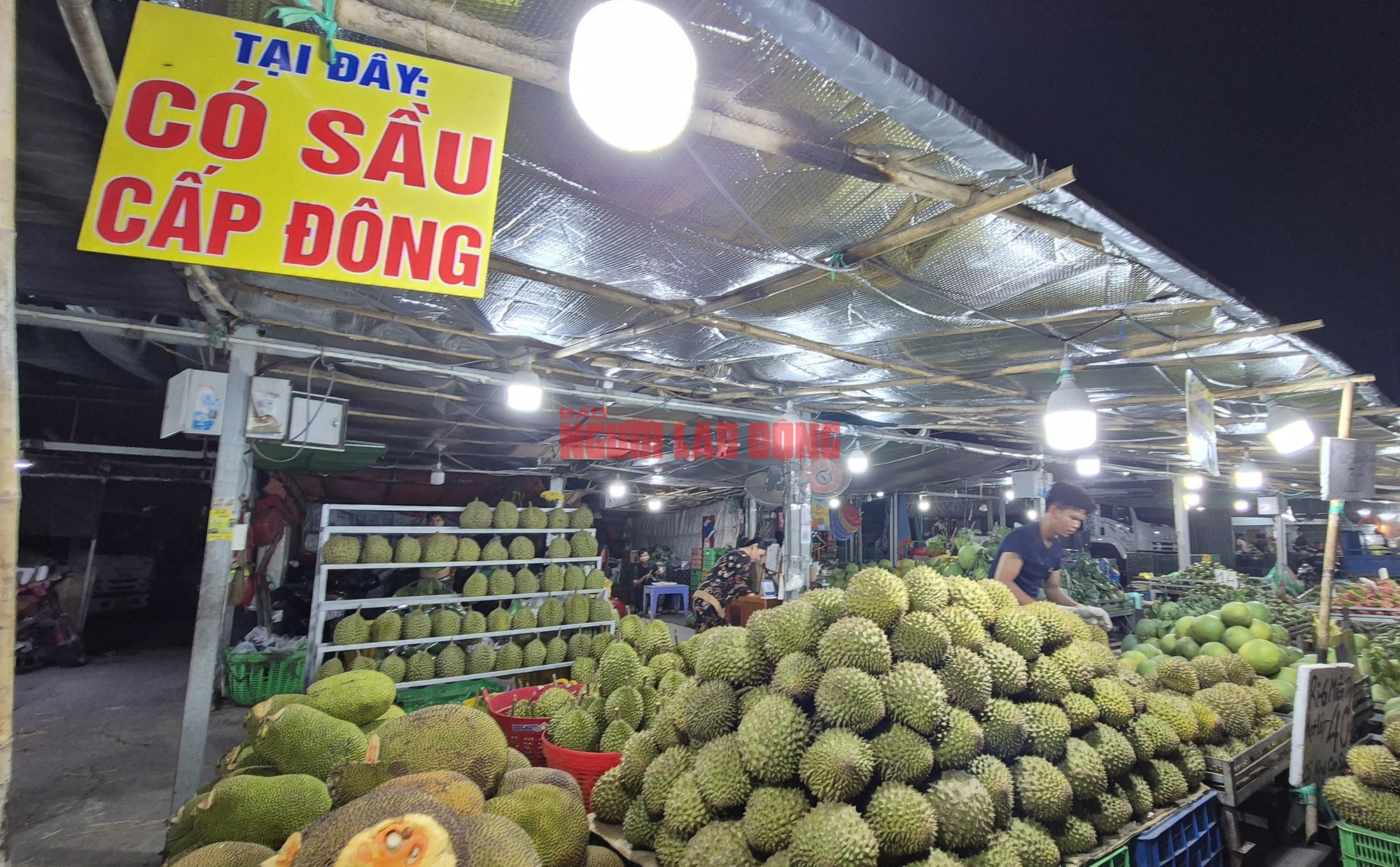  - Ảnh 7.