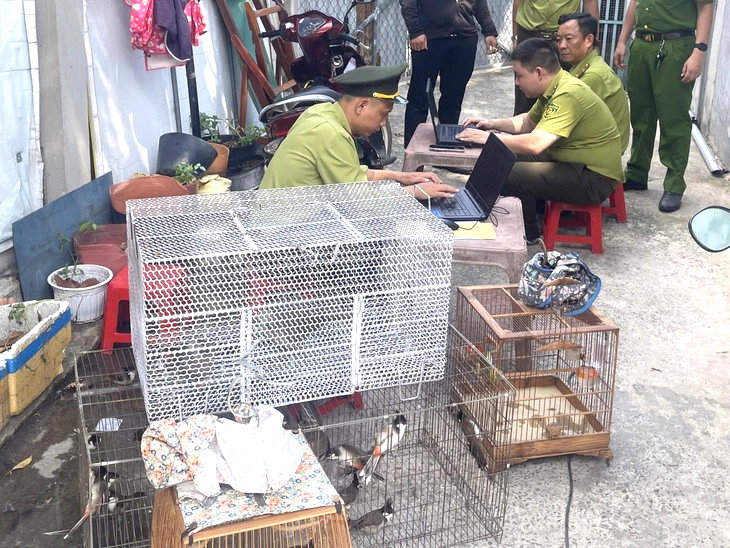 TPHCM tạm giữ 28 chim và 4 cầy vòi hương nuôi nhốt động vật rừng trái phép - Ảnh 1.