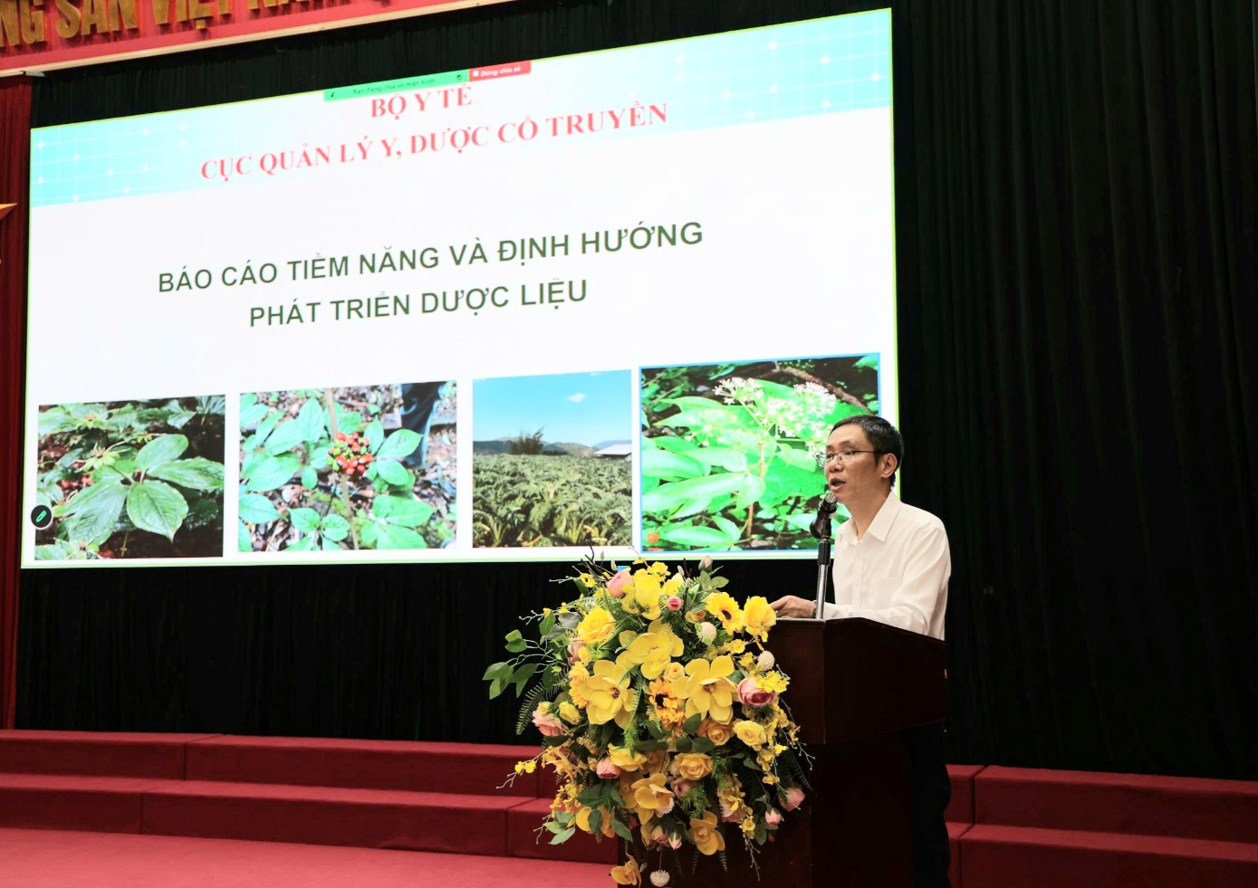 Dược liệu Việt Nam tìm đường thành ngành kinh tế mũi nhọn - Ảnh 2.