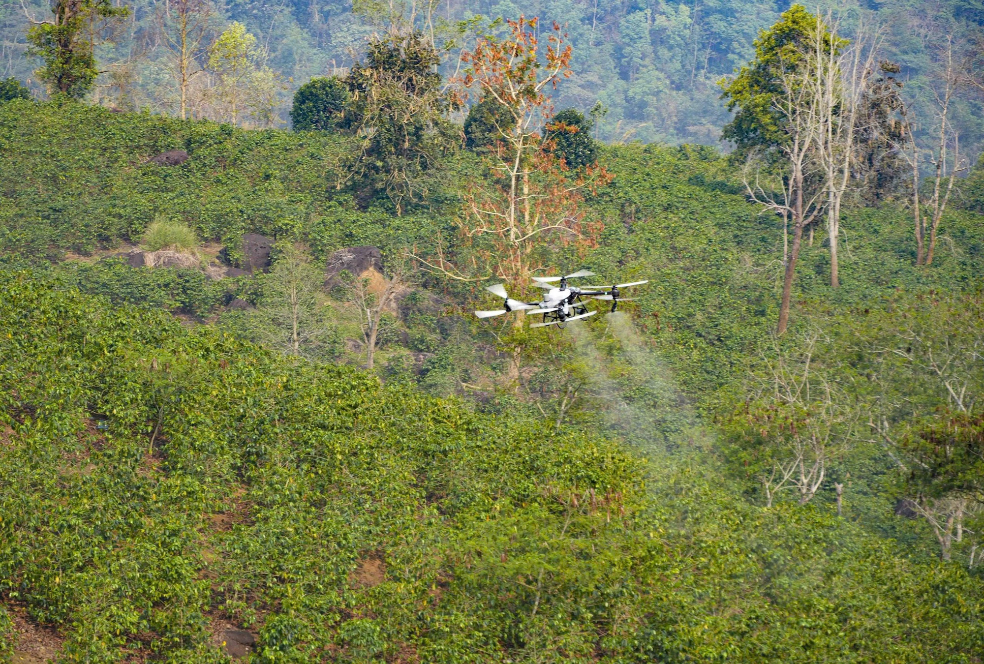 UAV mở hướng phát triển kinh tế vùng núi - Ảnh 1.