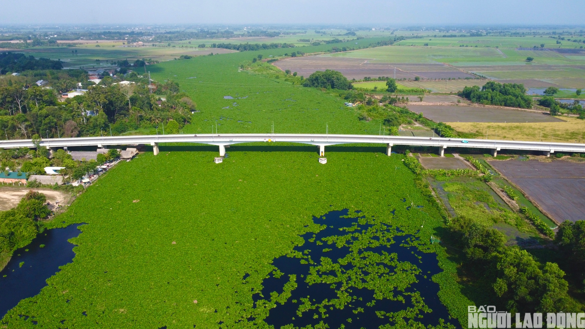 Nước s&ocirc;ng V&agrave;m Cỏ Đ&ocirc;ng &ocirc; nhiễm nghi&ecirc;m trọng , người d&acirc;n lo lắng về nguồn nước - Ảnh 2.