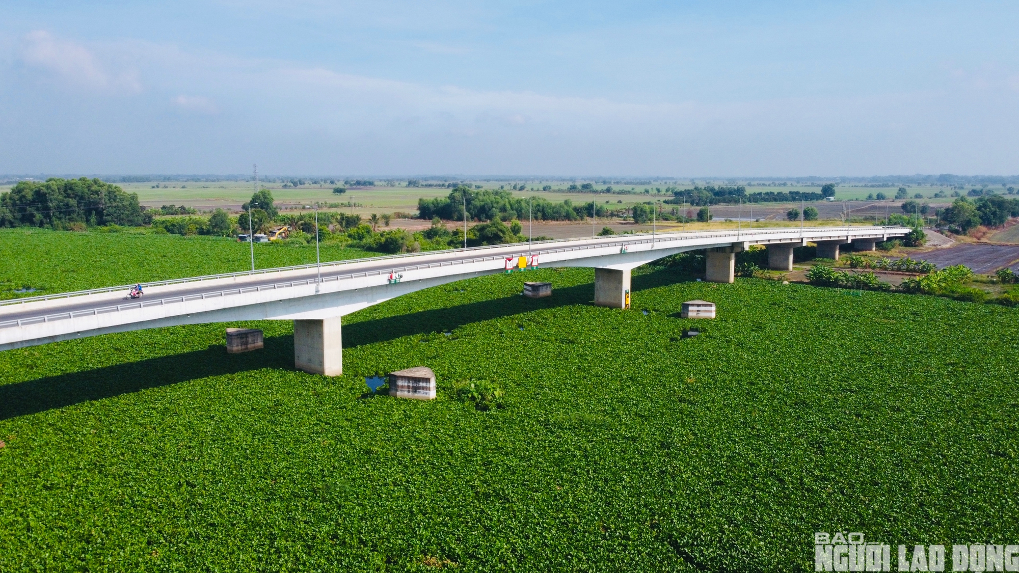 Nước s&ocirc;ng V&agrave;m Cỏ Đ&ocirc;ng &ocirc; nhiễm nghi&ecirc;m trọng , người d&acirc;n lo lắng về nguồn nước - Ảnh 5.