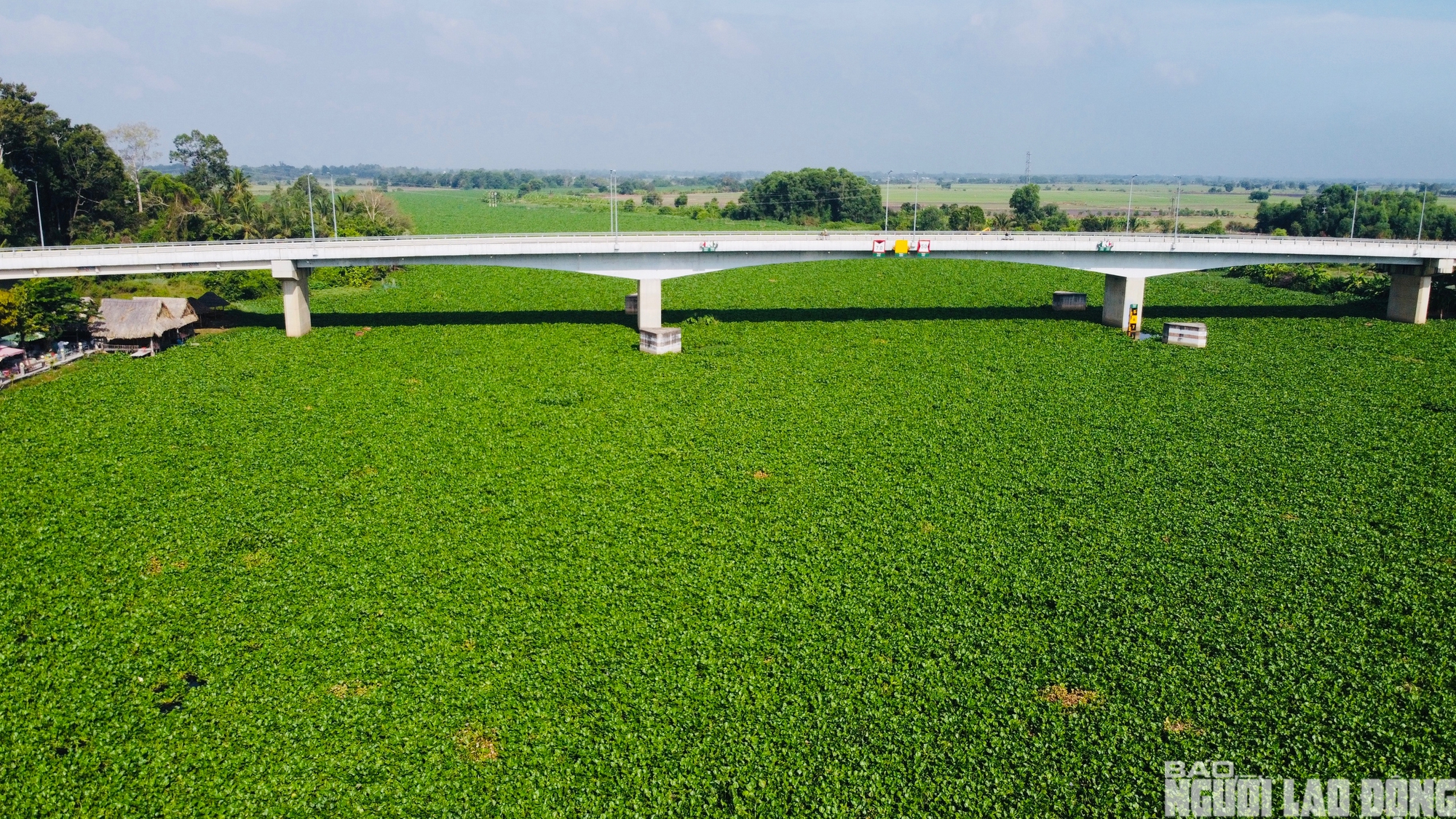Nước s&ocirc;ng V&agrave;m Cỏ Đ&ocirc;ng &ocirc; nhiễm nghi&ecirc;m trọng , người d&acirc;n lo lắng về nguồn nước - Ảnh 15.