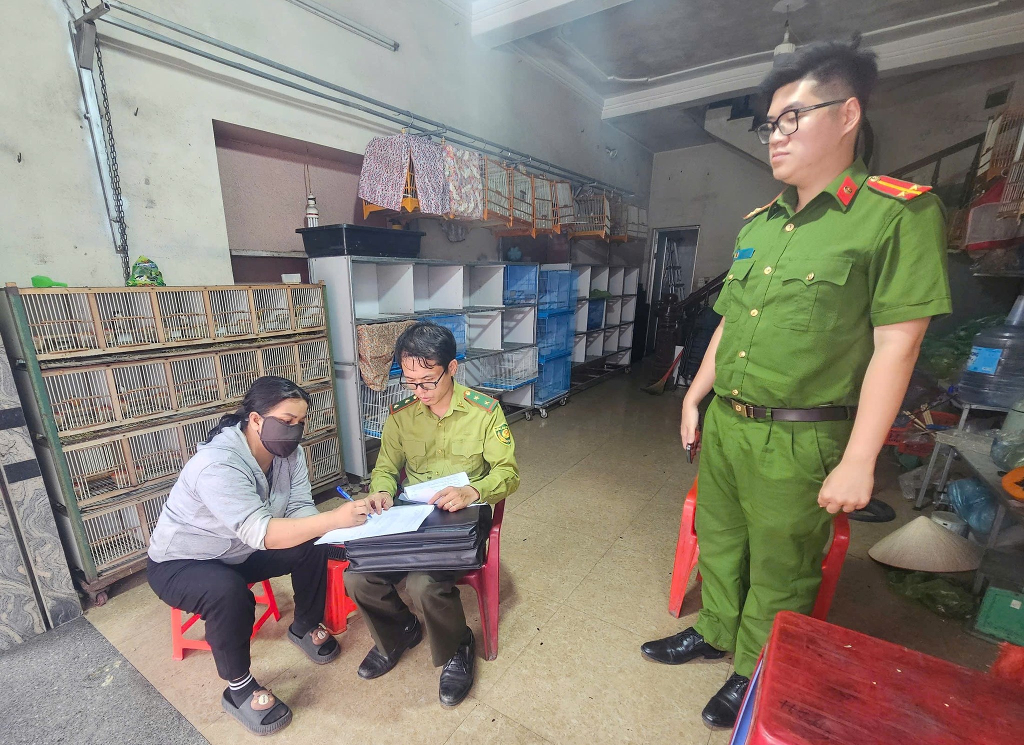 Tạm giữ gần 1.000 cá thể chim hoang dã tại 3 cửa hàng chim cảnh - Ảnh 2.