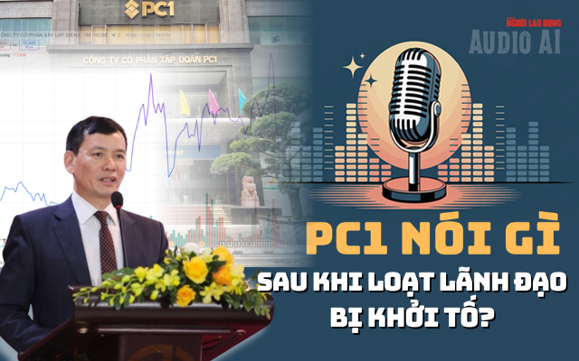 Khởi tố Chủ tịch HĐQT Công ty tư vấn Xây dựng Điện 2 - Ảnh 2.