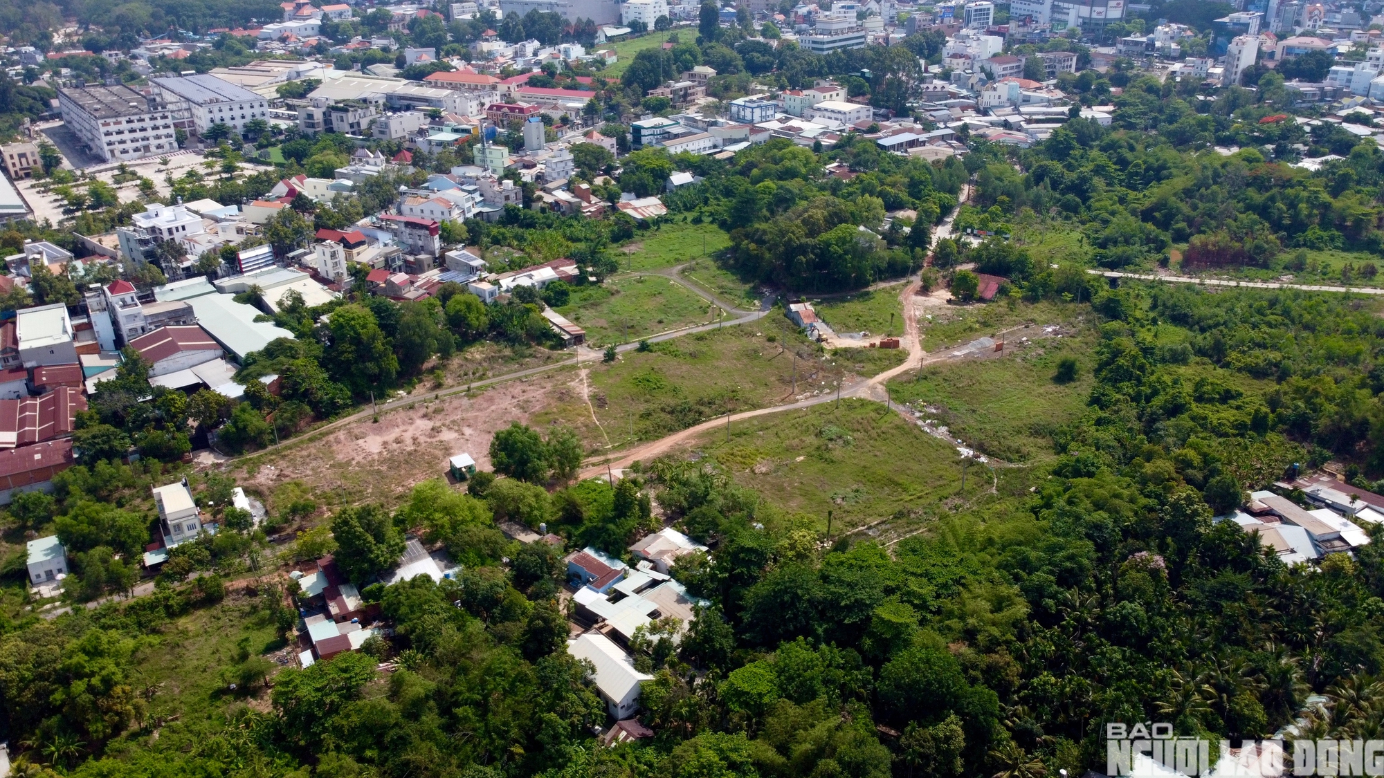  - Ảnh 2.