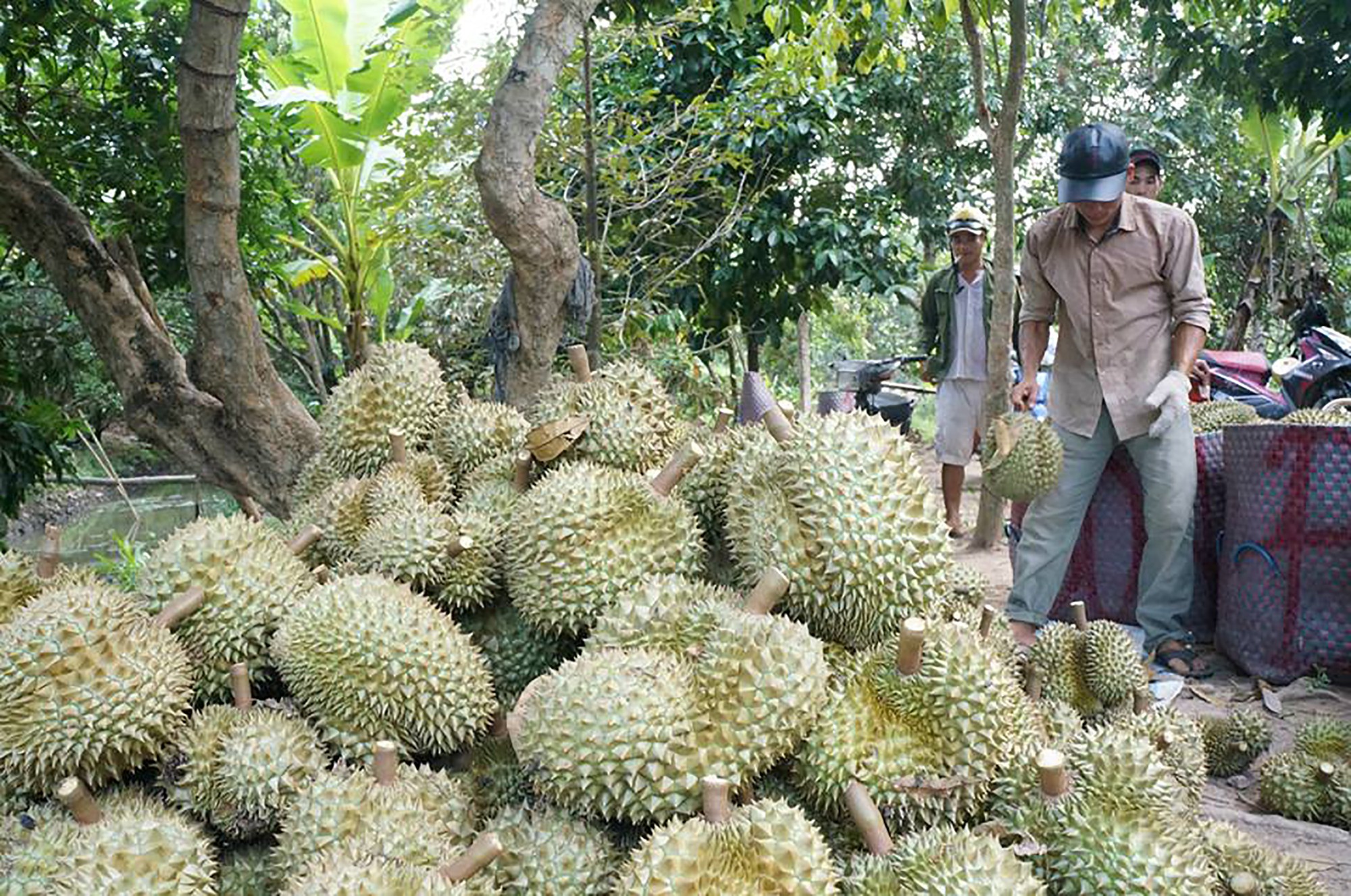 Báo in ngày 19-5: Học Bác qua những điều giản dị: Lan tỏa phẩm chất quý   - Ảnh 2.