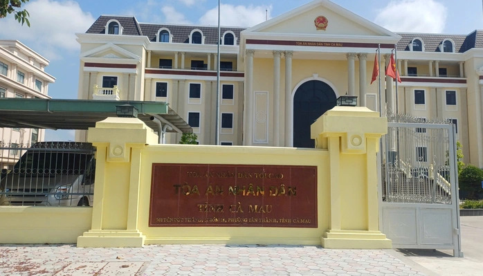 Lý do hoãn phiên xét xử vụ án liên quan bà Nguyễn Thị Thanh Nhàn - Ảnh 1.