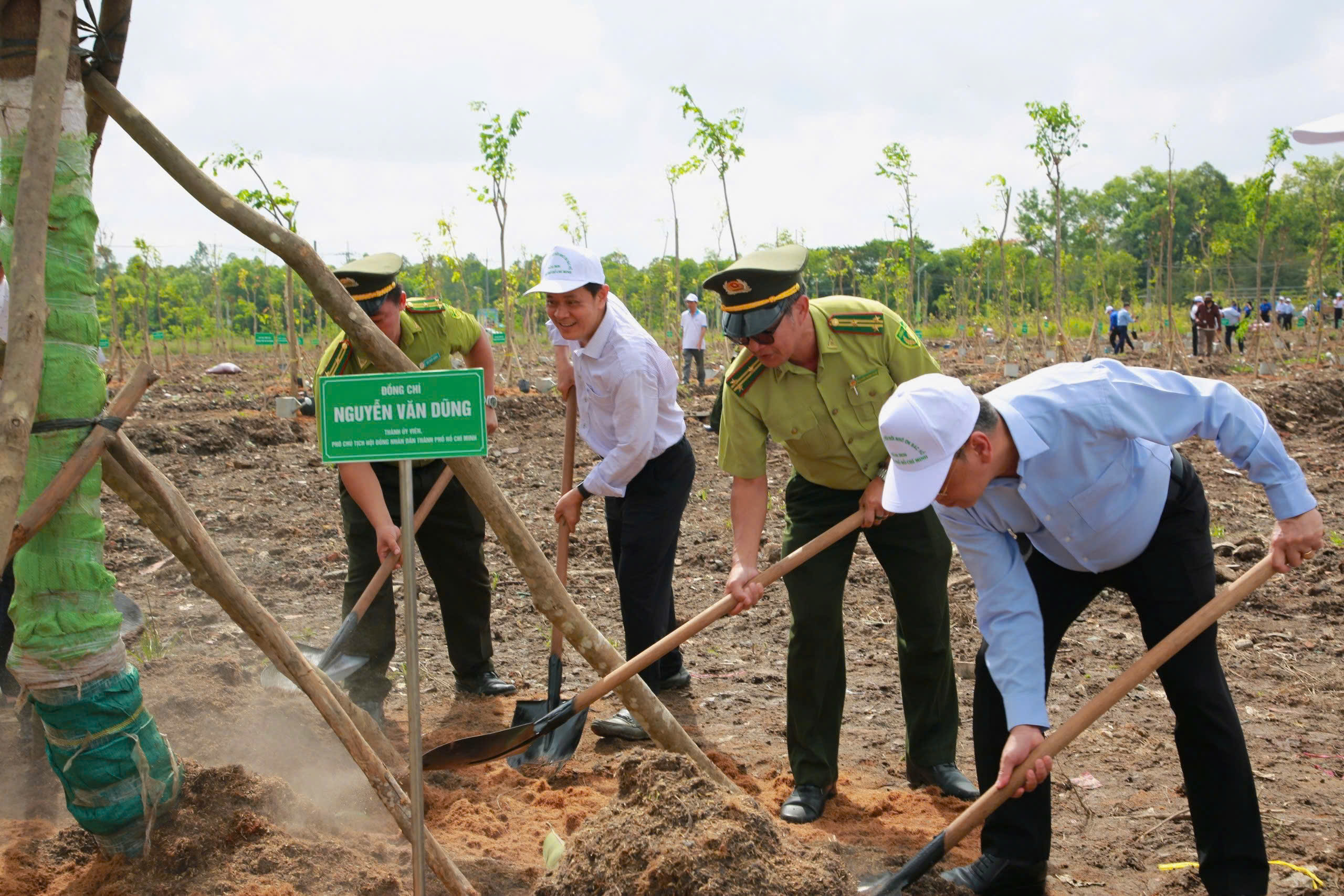 TPHCM ph&aacute;t động Tết trồng c&acirc;y "Đời đời nhớ ơn B&aacute;c Hồ" - Ảnh 4.